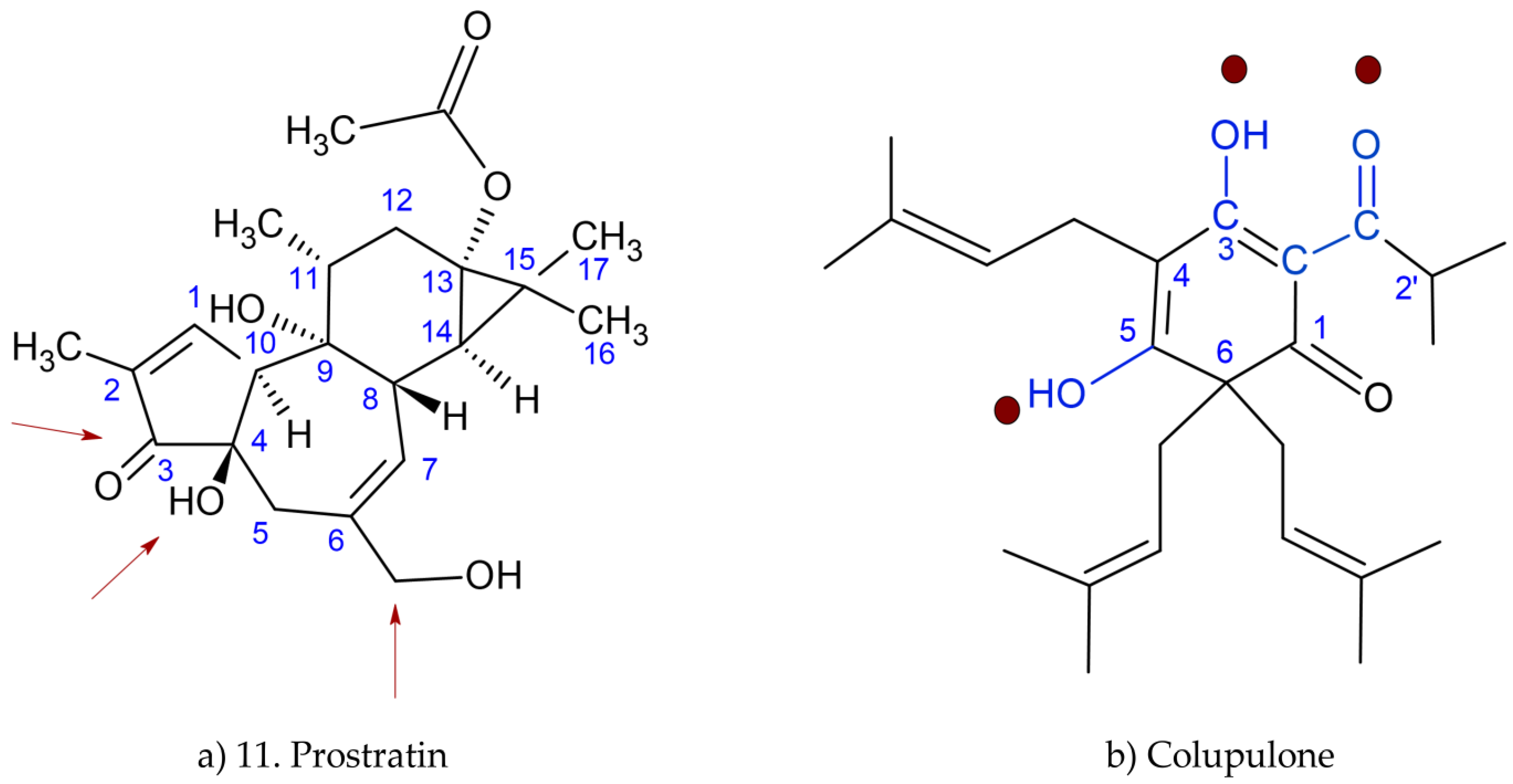 Ijms 24 03333 g009 550