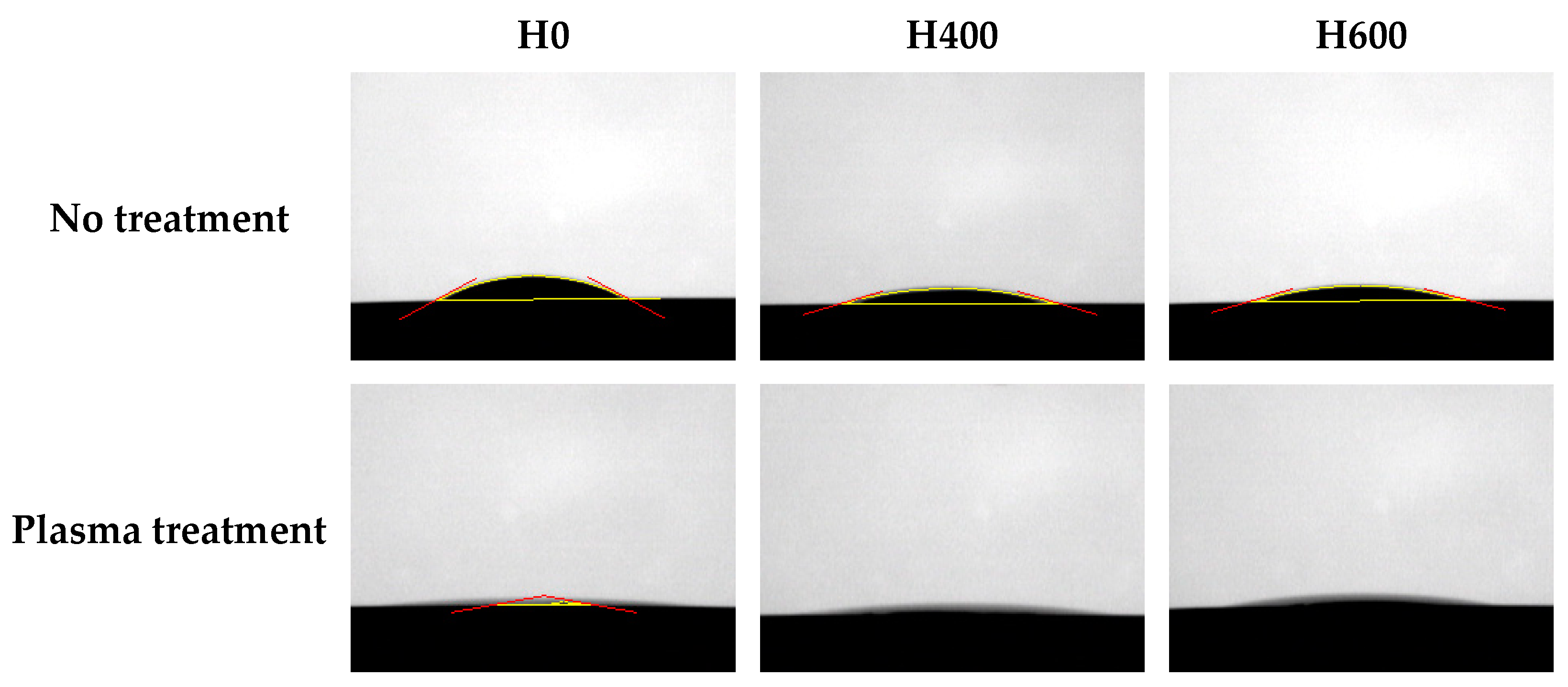 Ijms 24 03335 g001 550