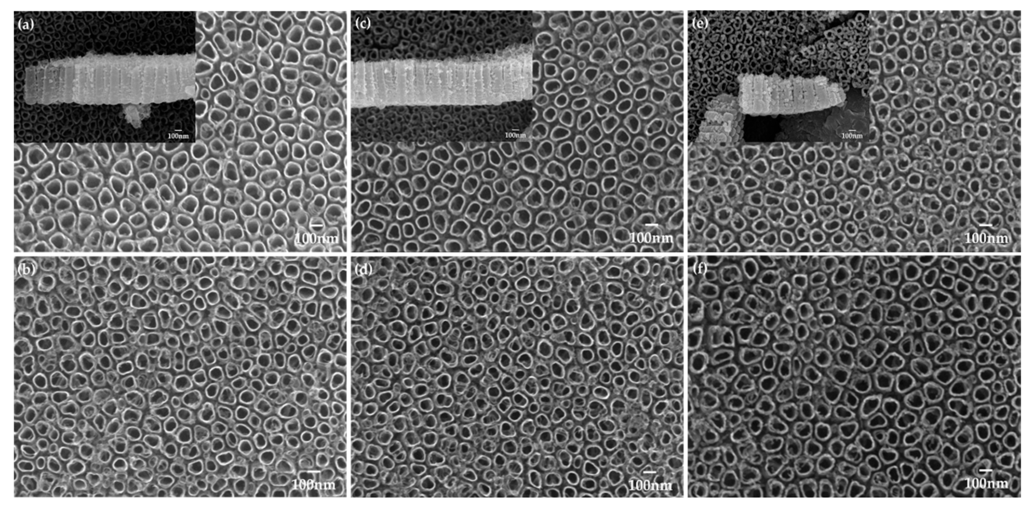 Ijms 24 03335 g002 550