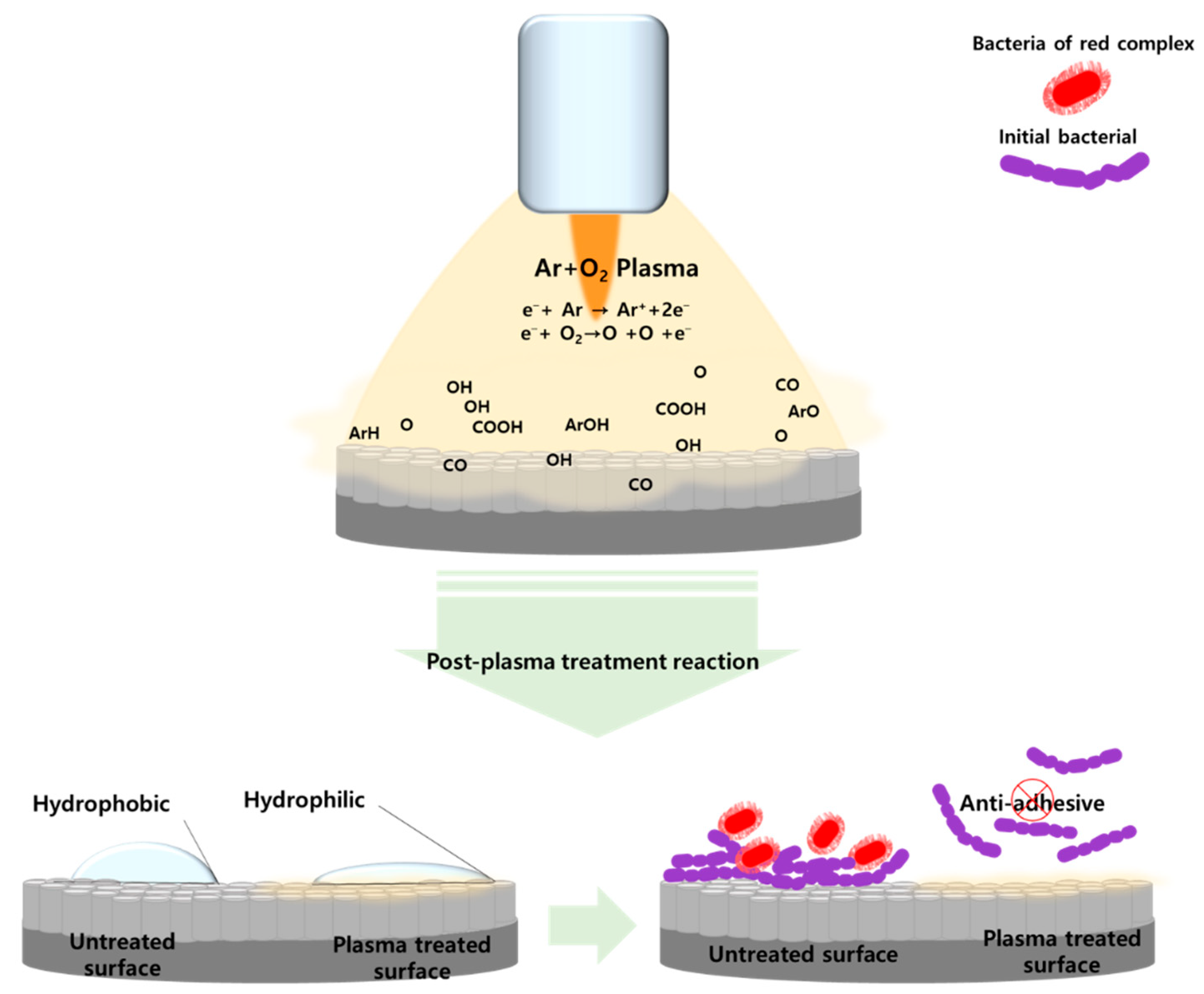 Ijms 24 03335 g007 550