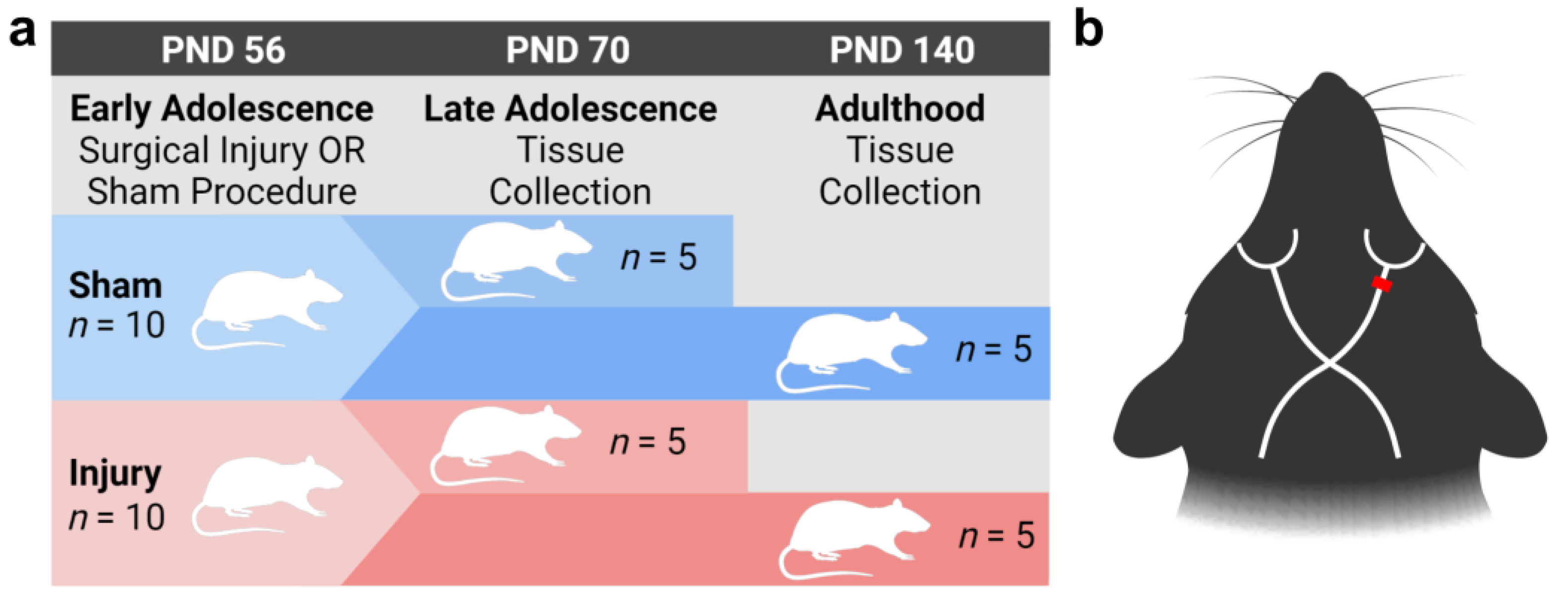 Ijms 24 03343 g001 550