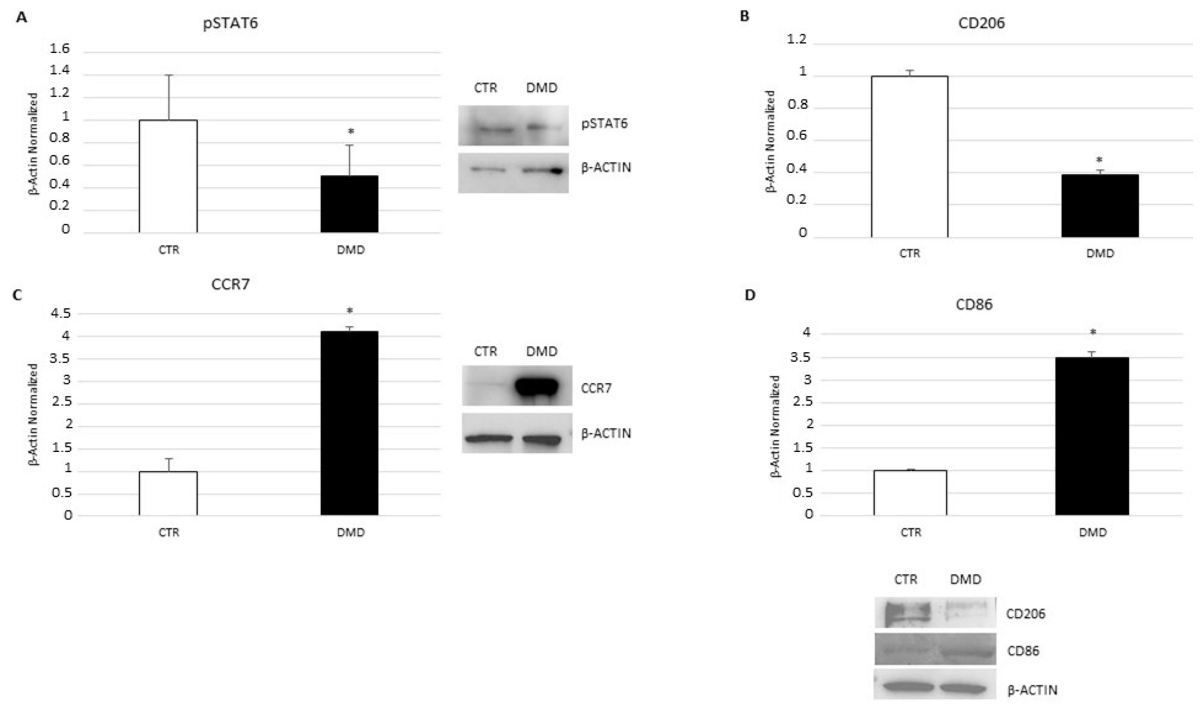 Ijms 24 03345 g002 Ijms 24 03345 g002