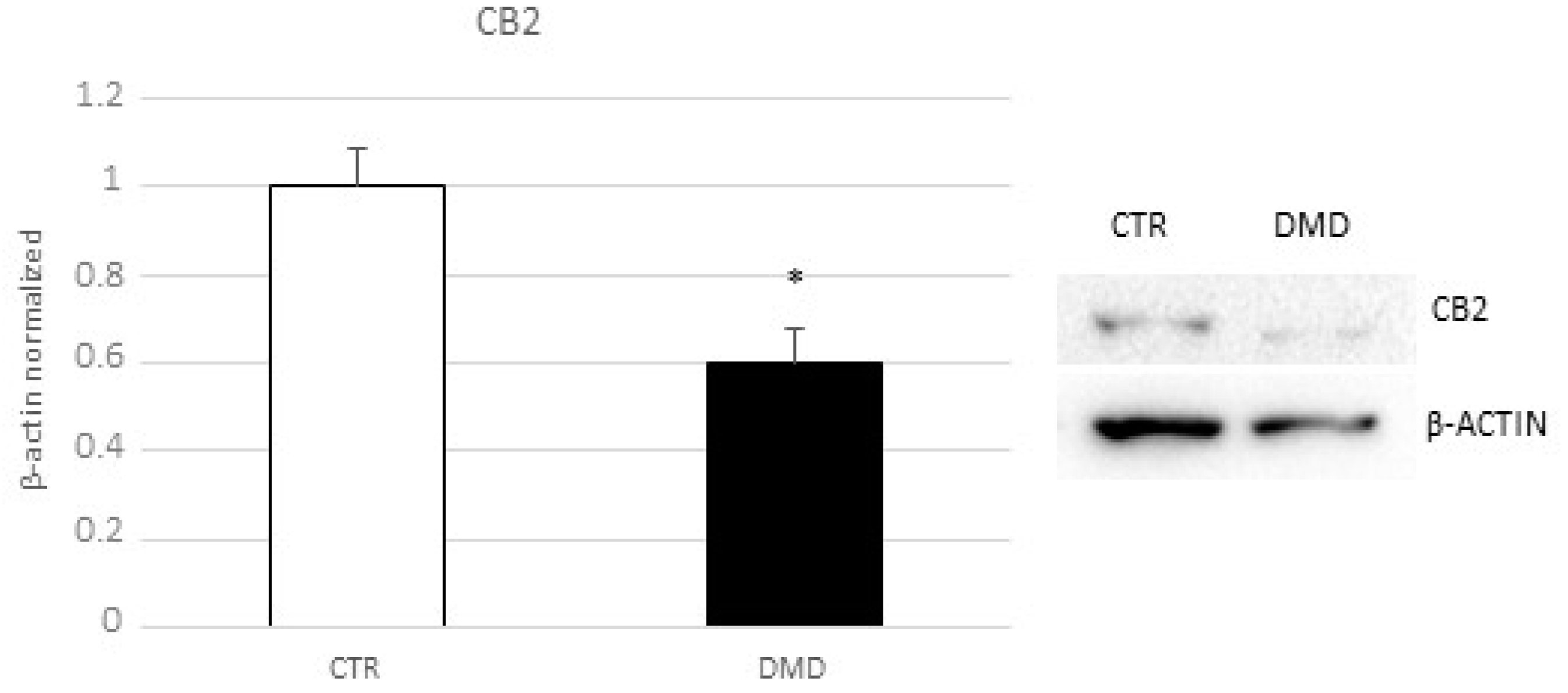 Ijms 24 03345 g003 Ijms 24 03345 g003
