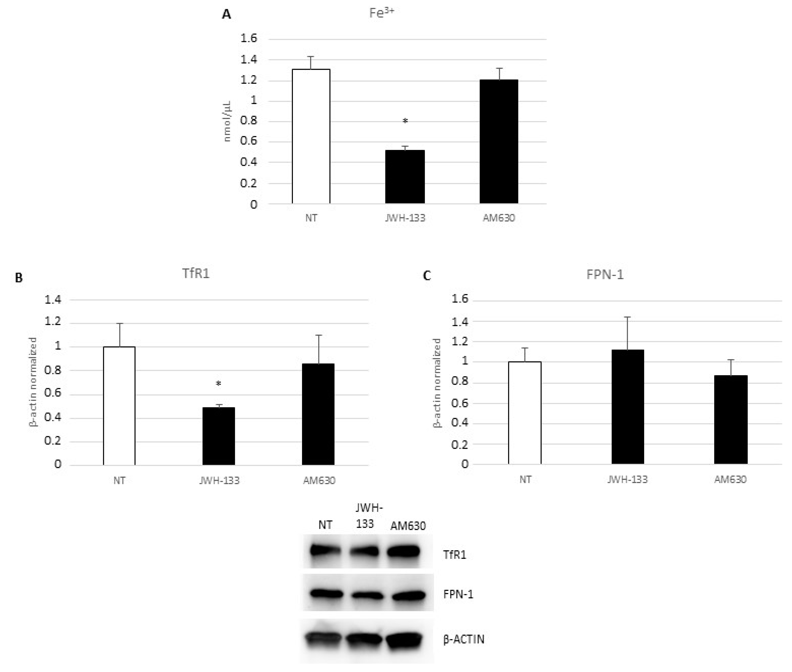 Ijms 24 03345 g005 Ijms 24 03345 g005