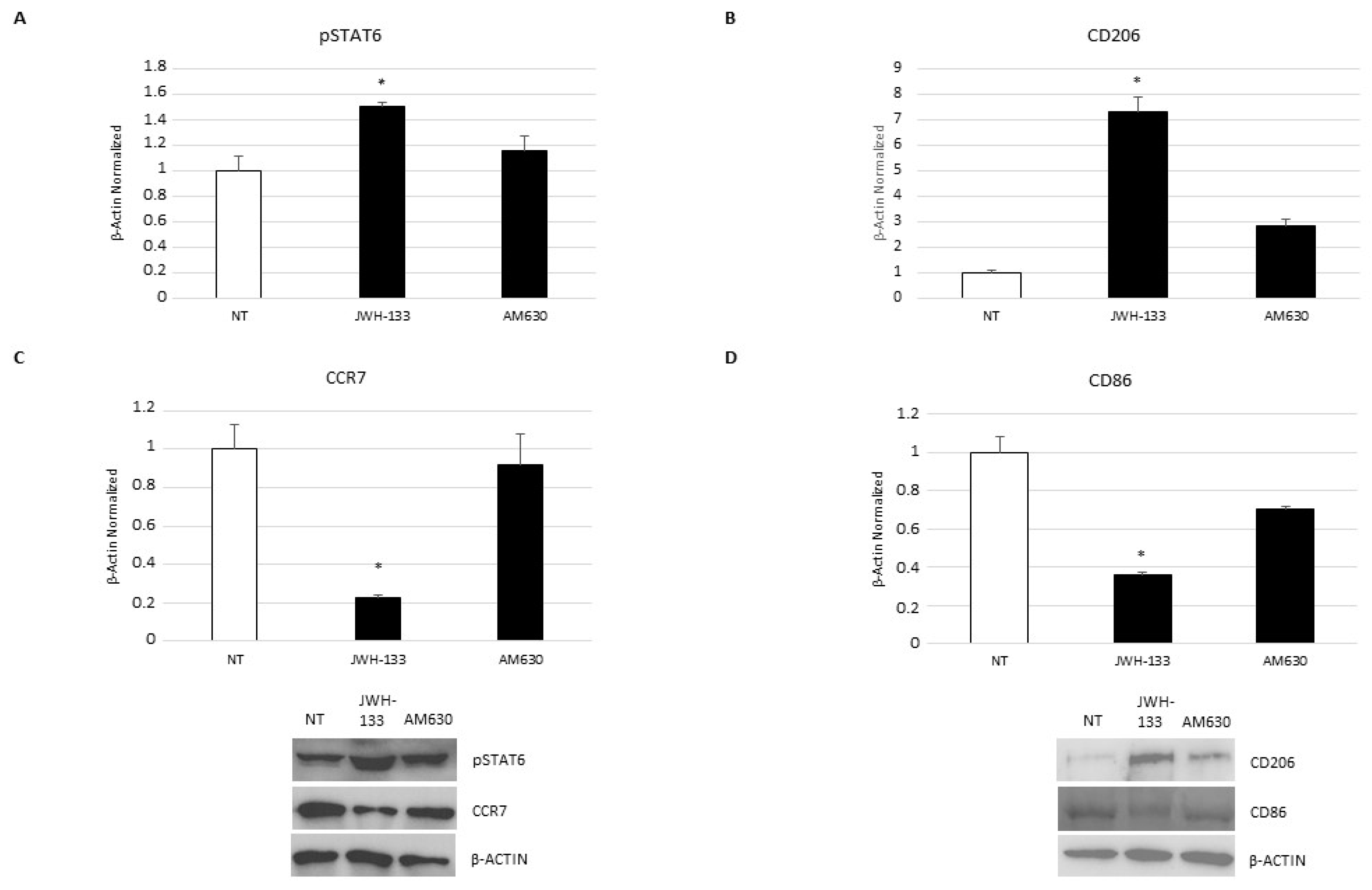 Ijms 24 03345 g006 Ijms 24 03345 g006