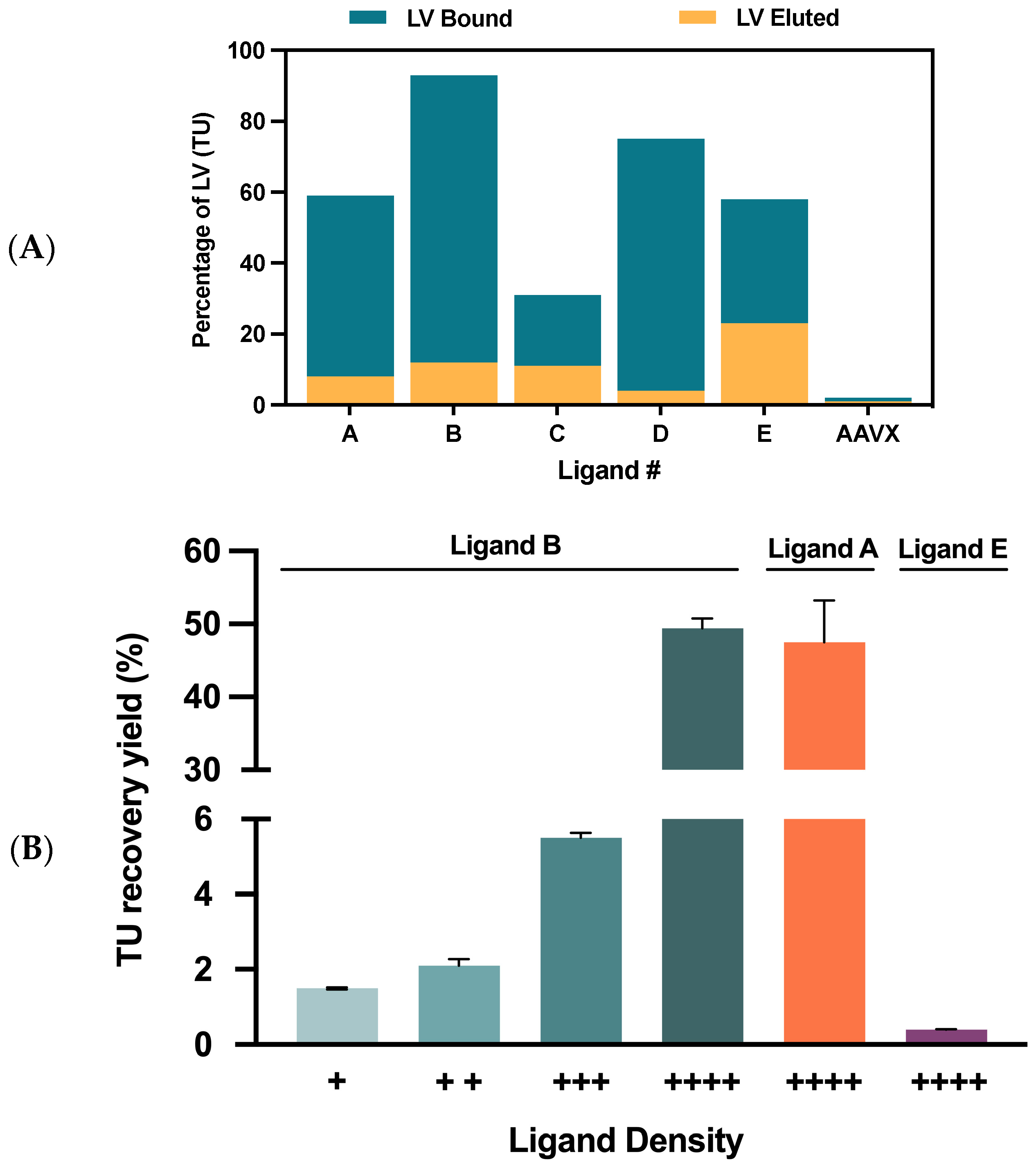 Ijms 24 03354 g003 Ijms 24 03354 g003