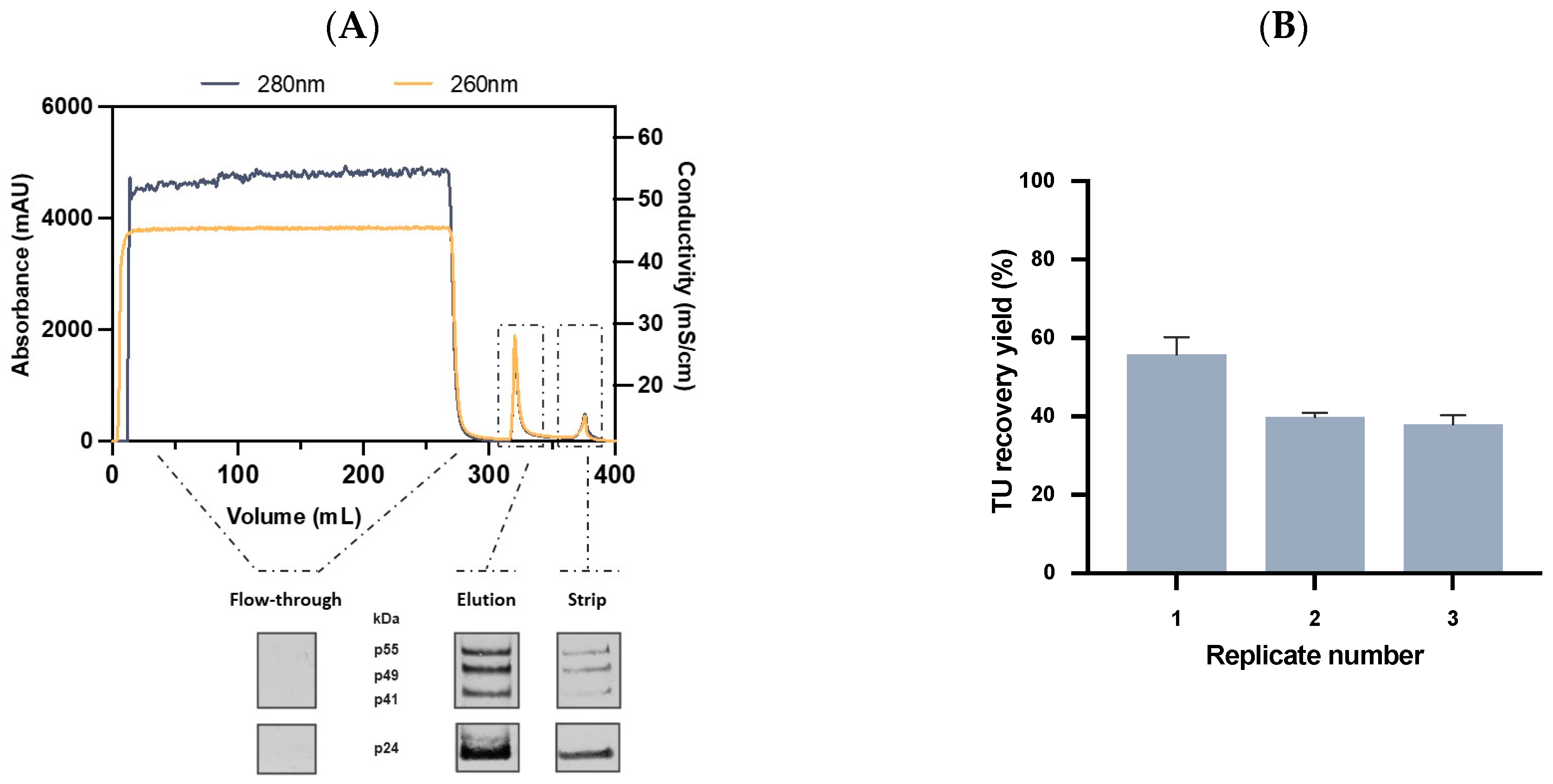 Ijms 24 03354 g005 Ijms 24 03354 g005