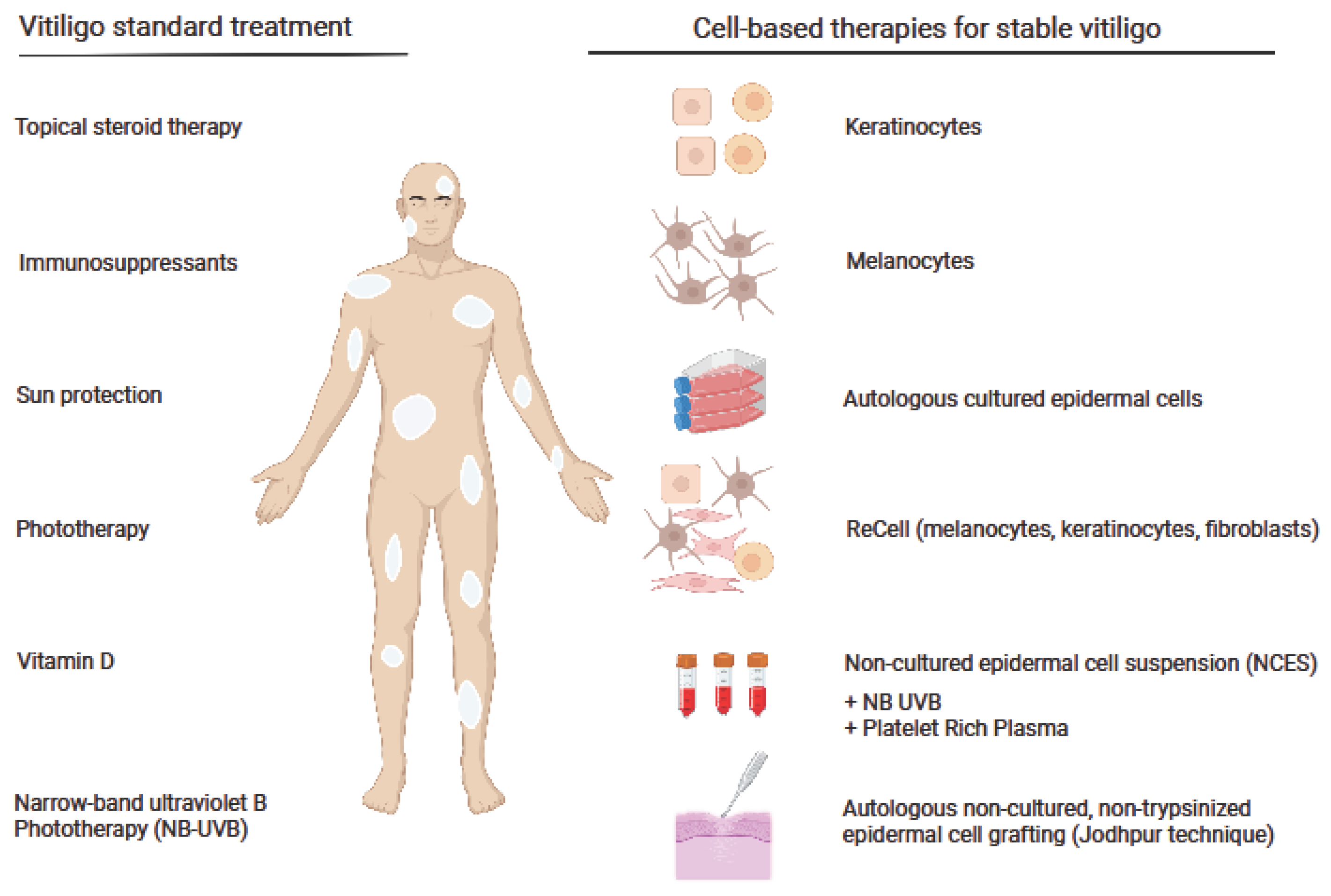 Ijms 24 03357 g001 Ijms 24 03357 g001