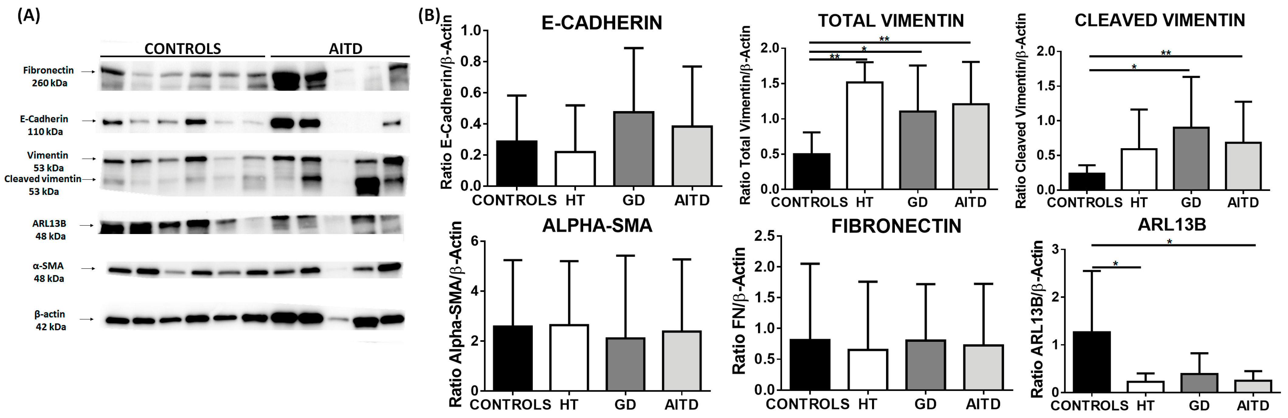 Ijms 24 03359 g003 Ijms 24 03359 g003