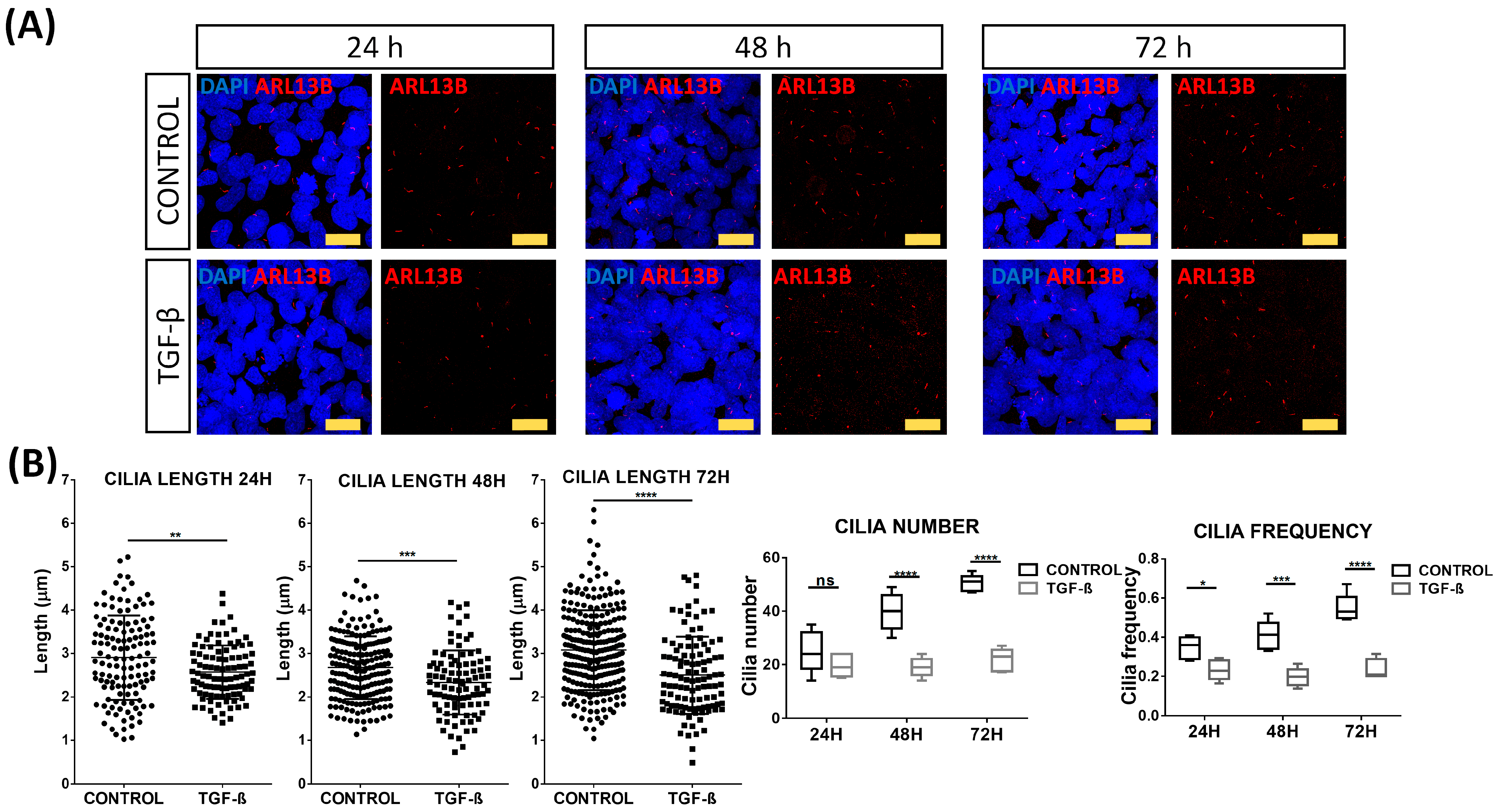 Ijms 24 03359 g005 Ijms 24 03359 g005