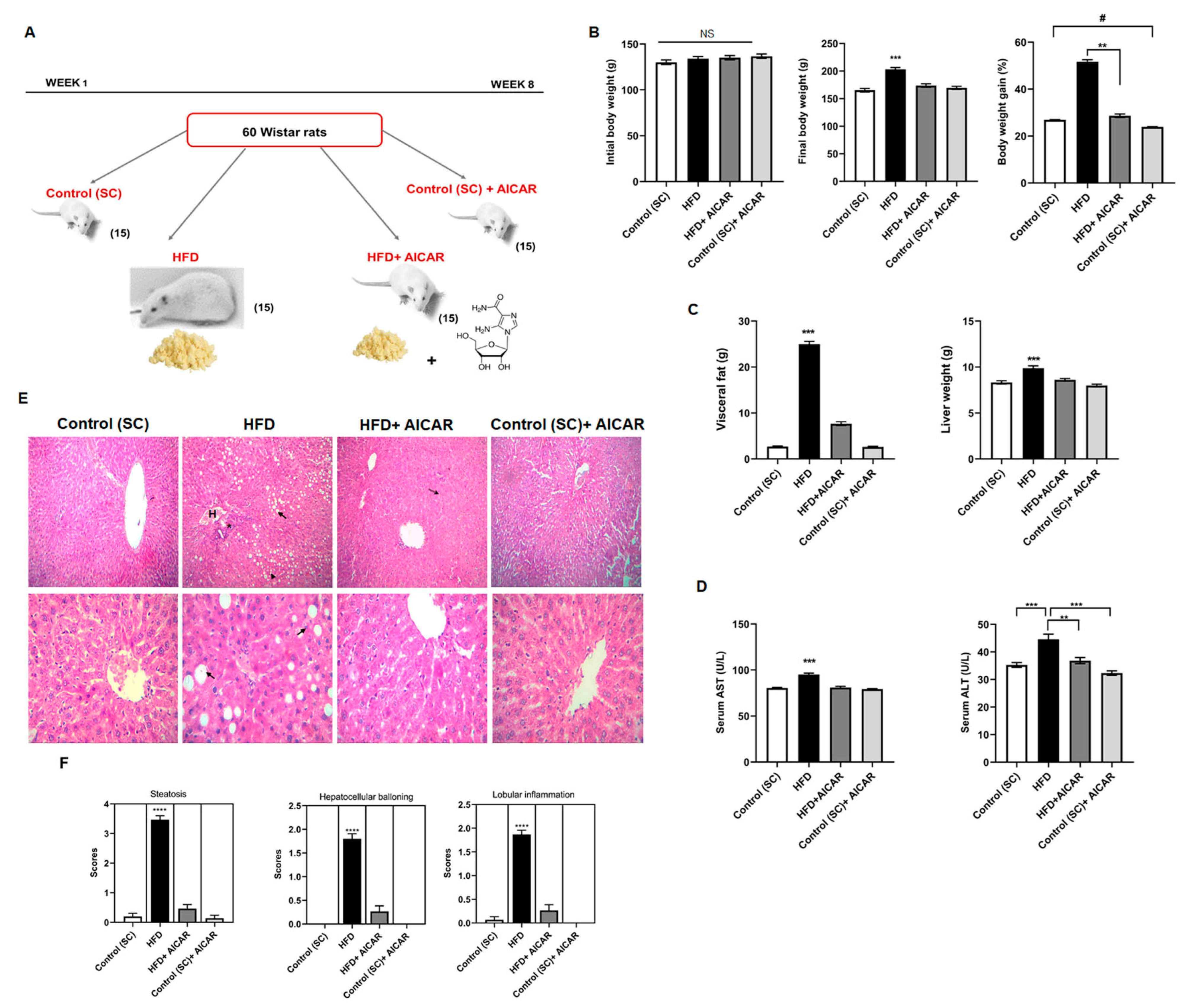 Ijms 24 03367 g001 Ijms 24 03367 g001