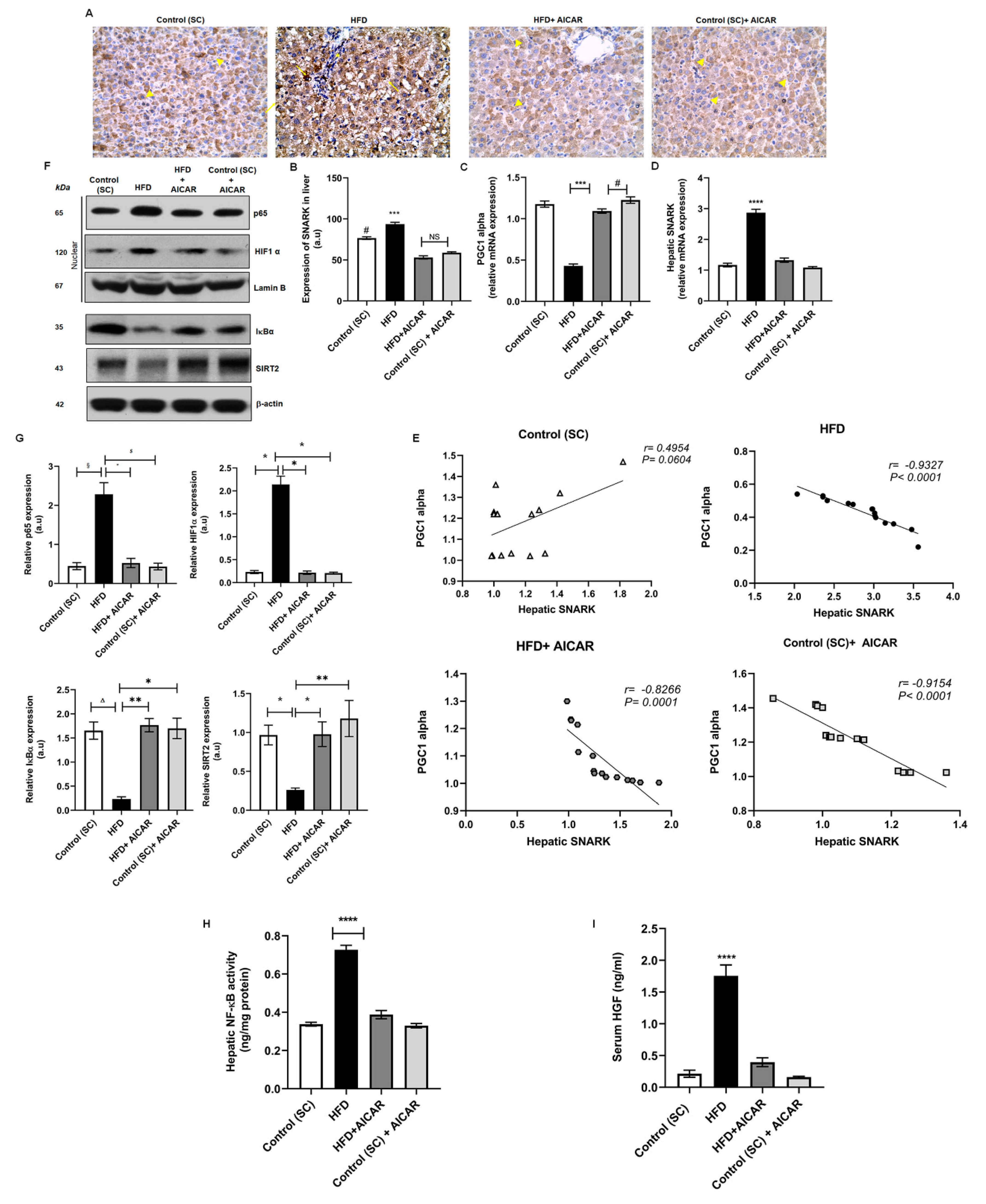 Ijms 24 03367 g003 Ijms 24 03367 g003