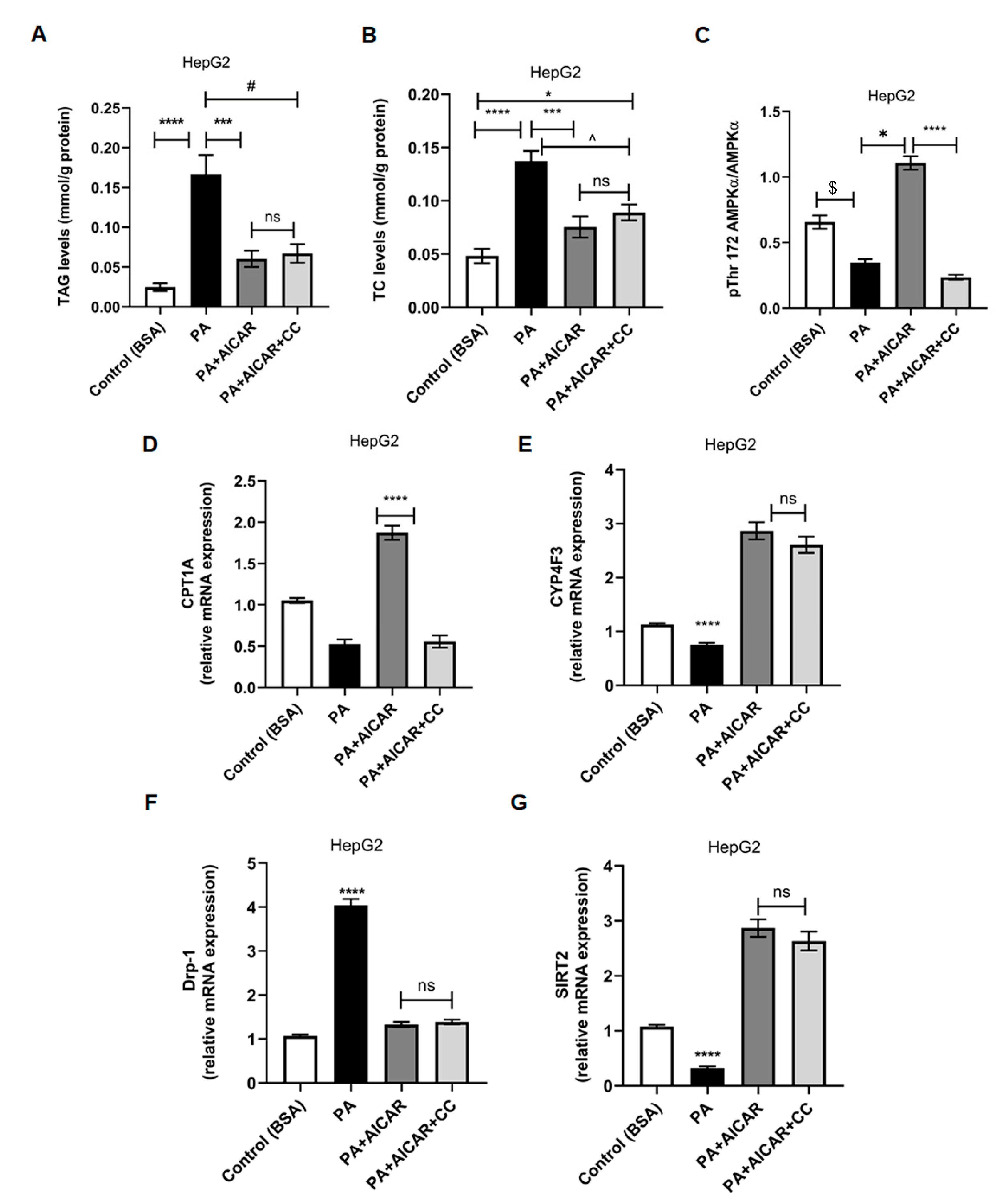 Ijms 24 03367 g006 Ijms 24 03367 g006