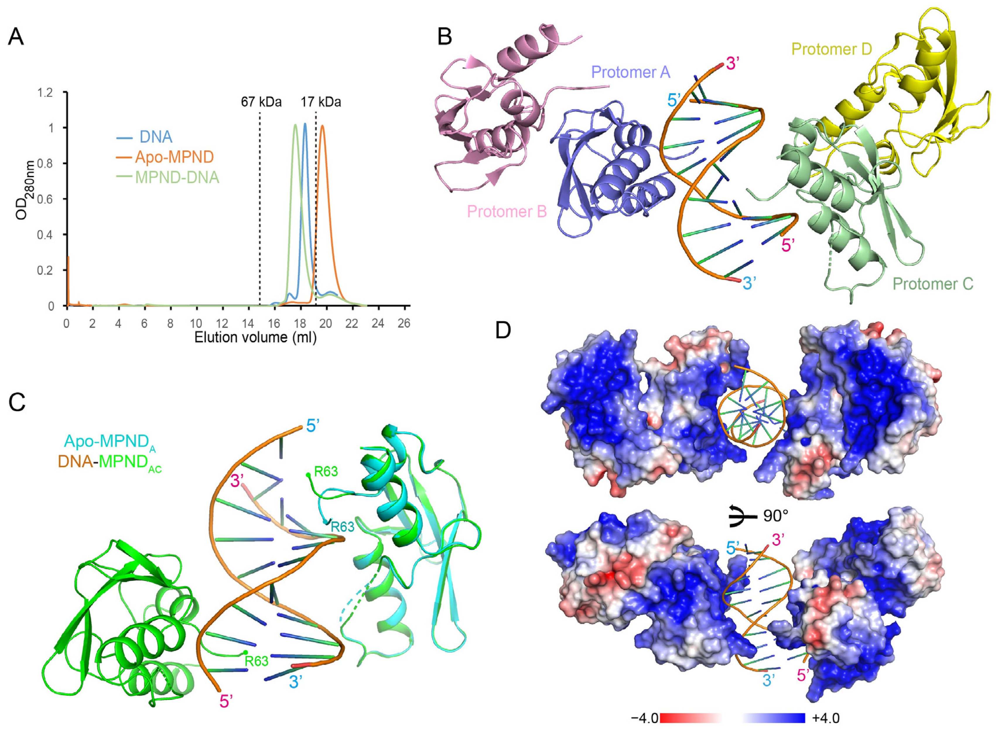 Ijms 24 03368 g003 Ijms 24 03368 g003