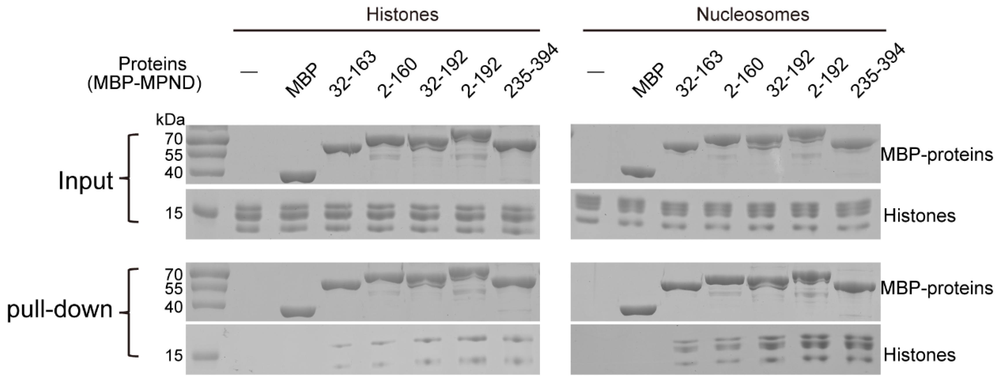 Ijms 24 03368 g006 Ijms 24 03368 g006