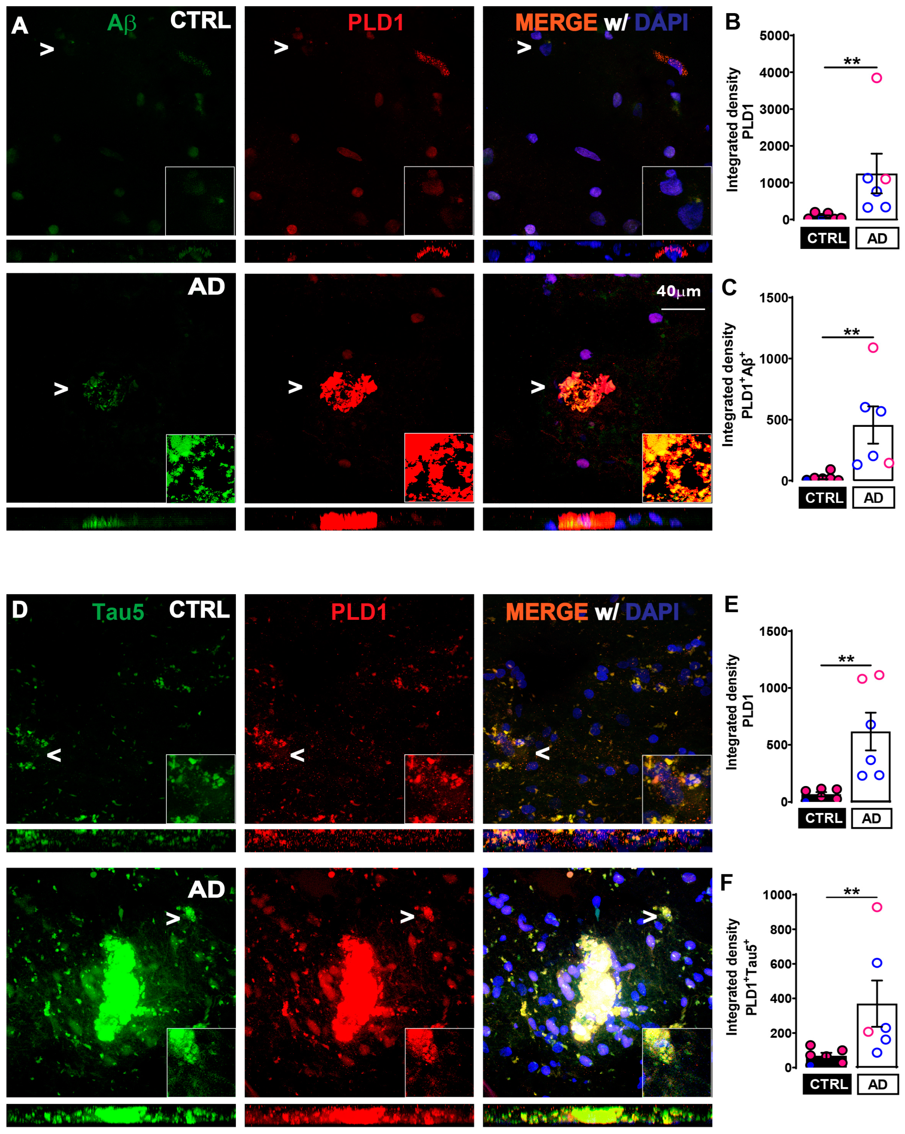 Ijms 24 03372 g001 Ijms 24 03372 g001