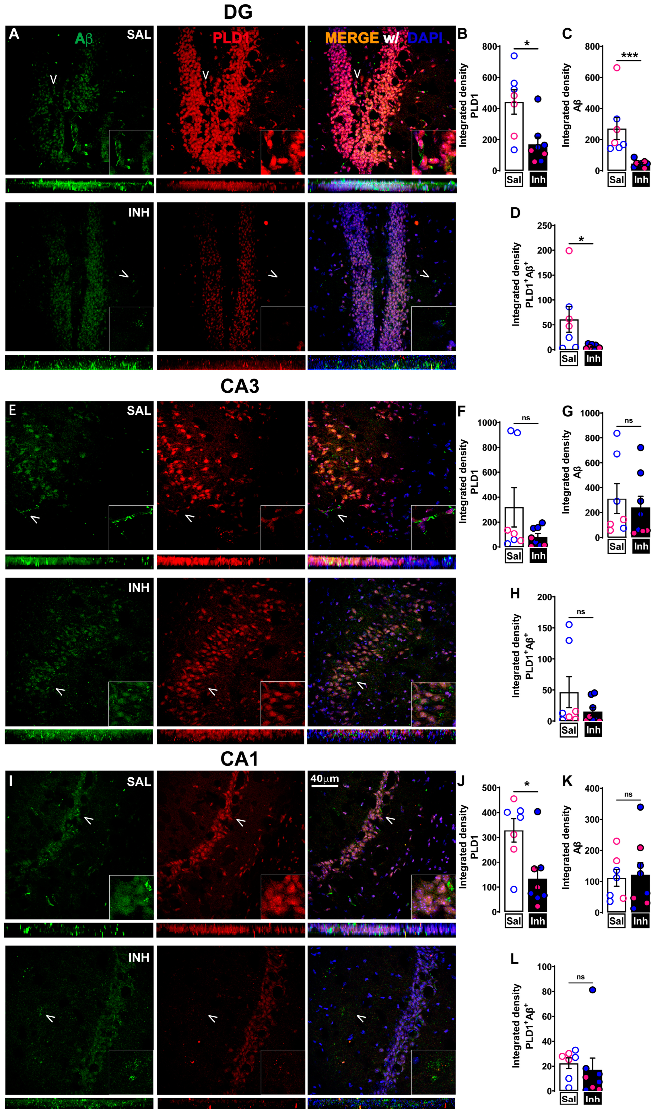 Ijms 24 03372 g002 Ijms 24 03372 g002