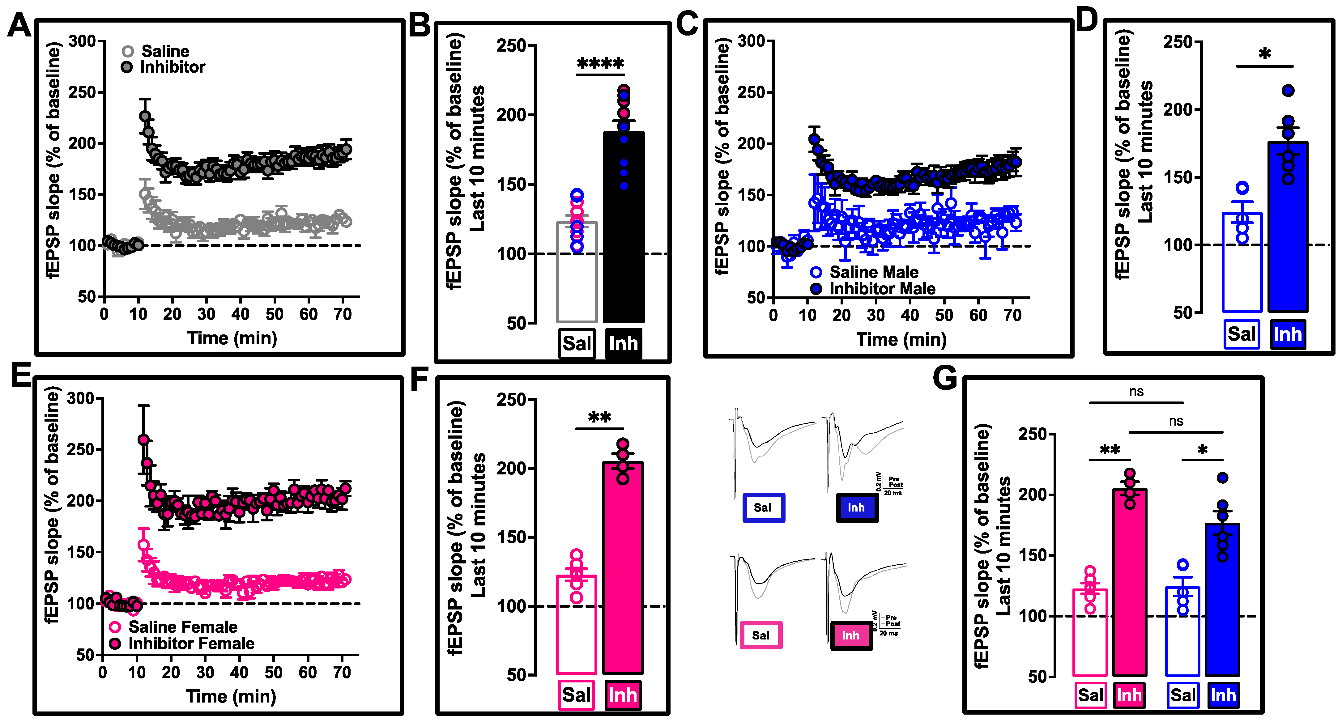 Ijms 24 03372 g005 Ijms 24 03372 g005
