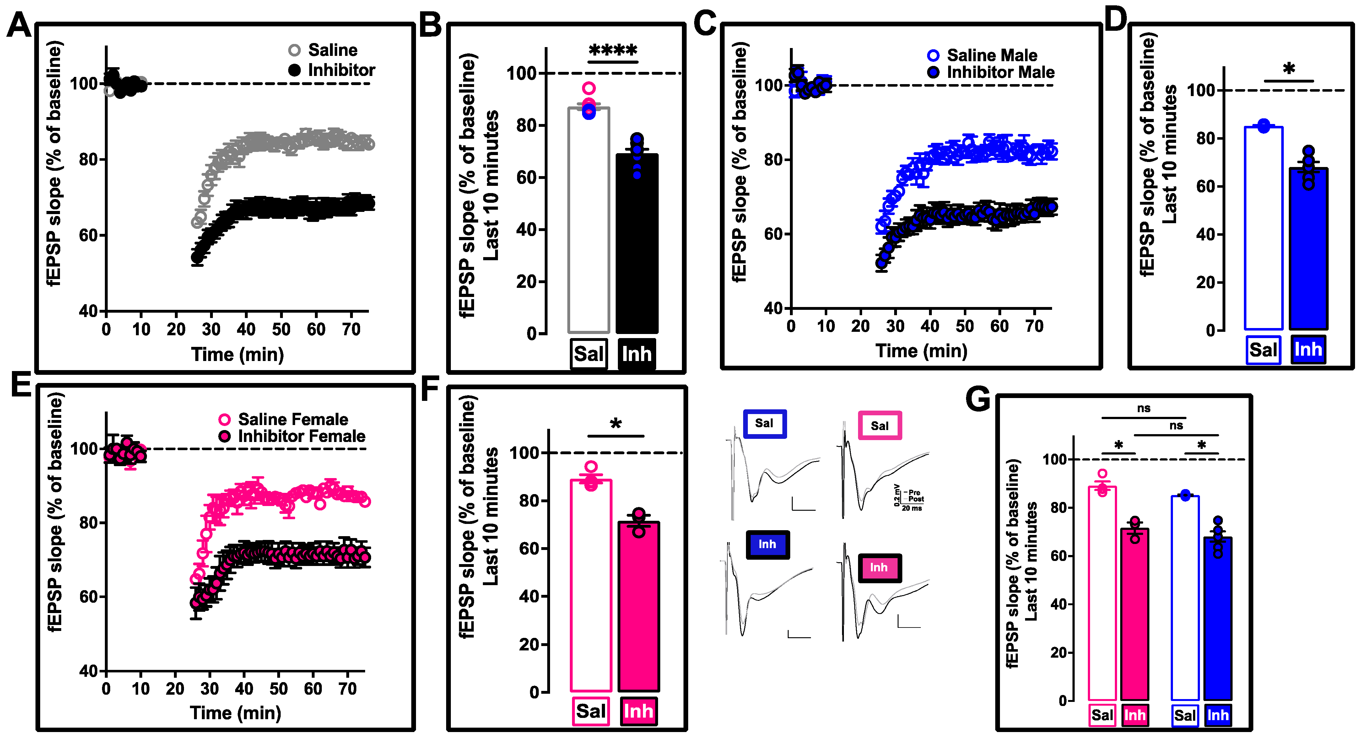 Ijms 24 03372 g006 Ijms 24 03372 g006