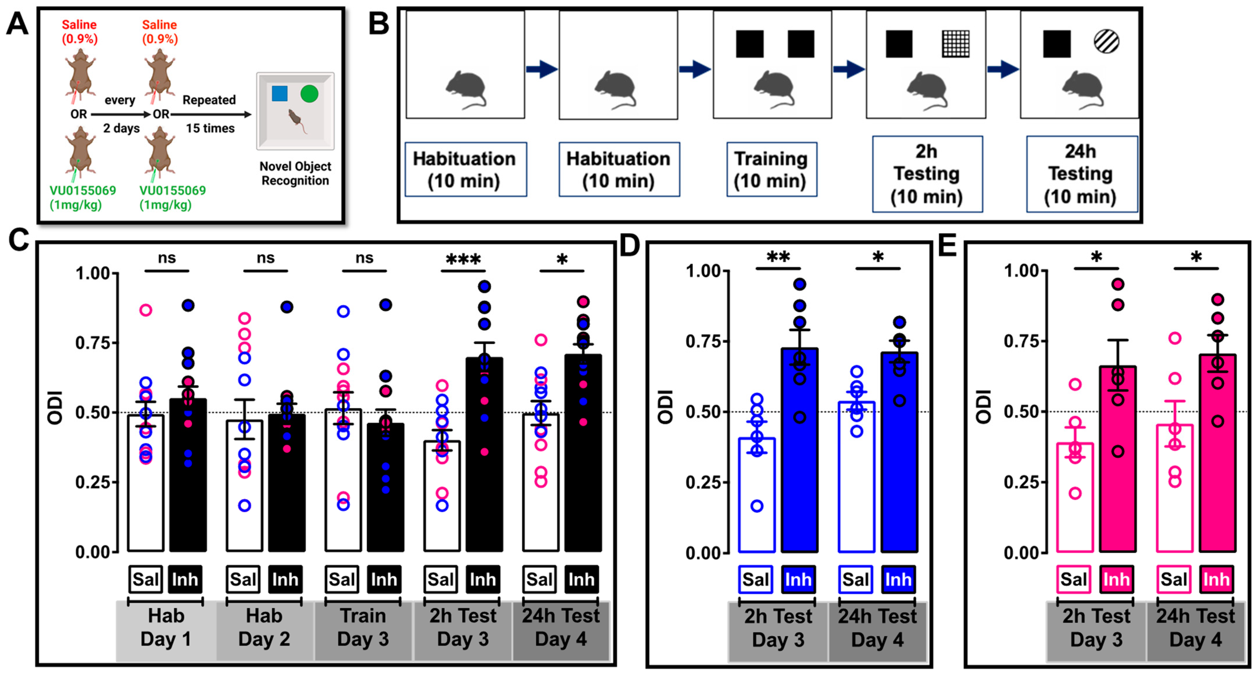 Ijms 24 03372 g007 Ijms 24 03372 g007