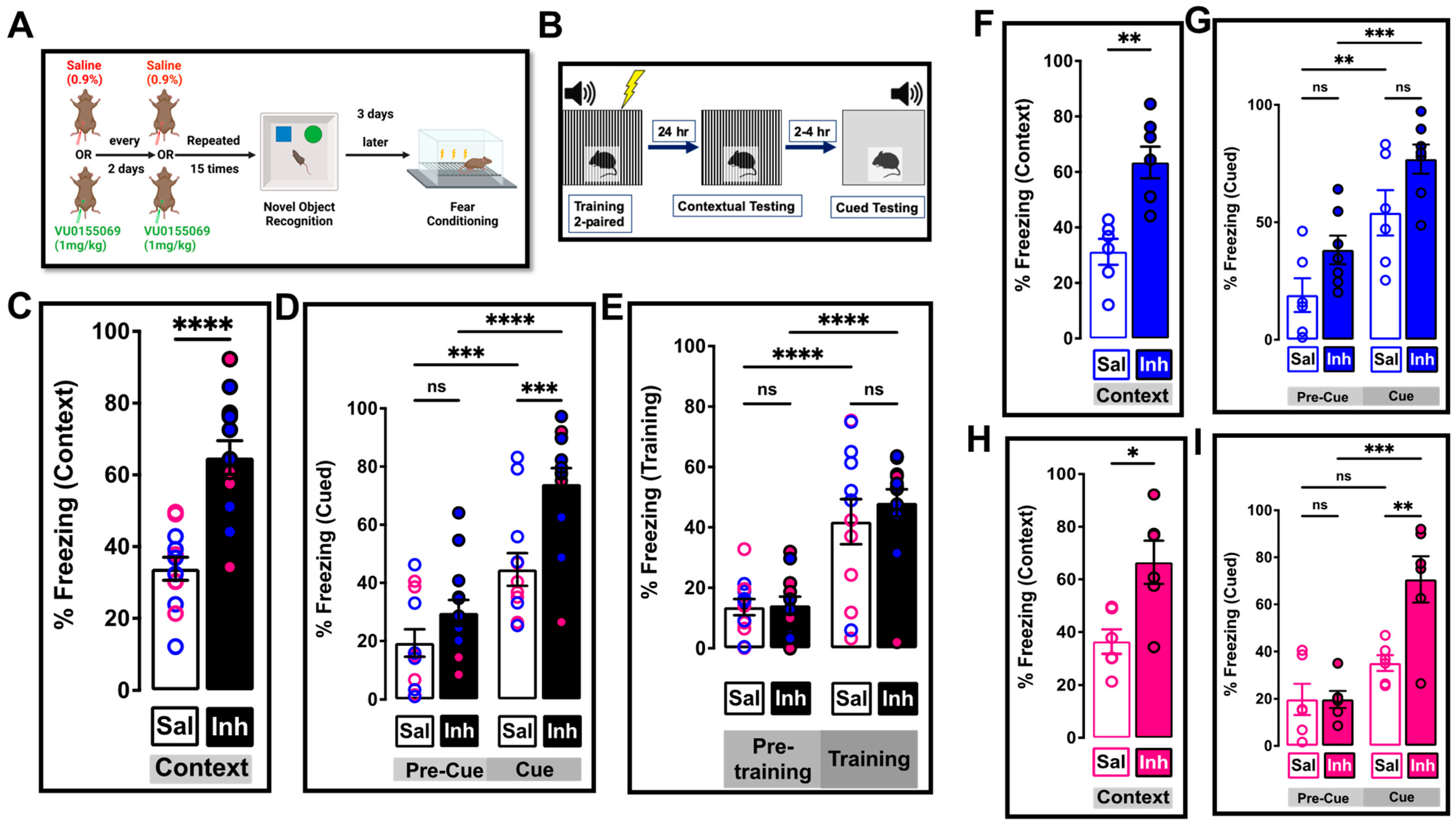 Ijms 24 03372 g008 Ijms 24 03372 g008