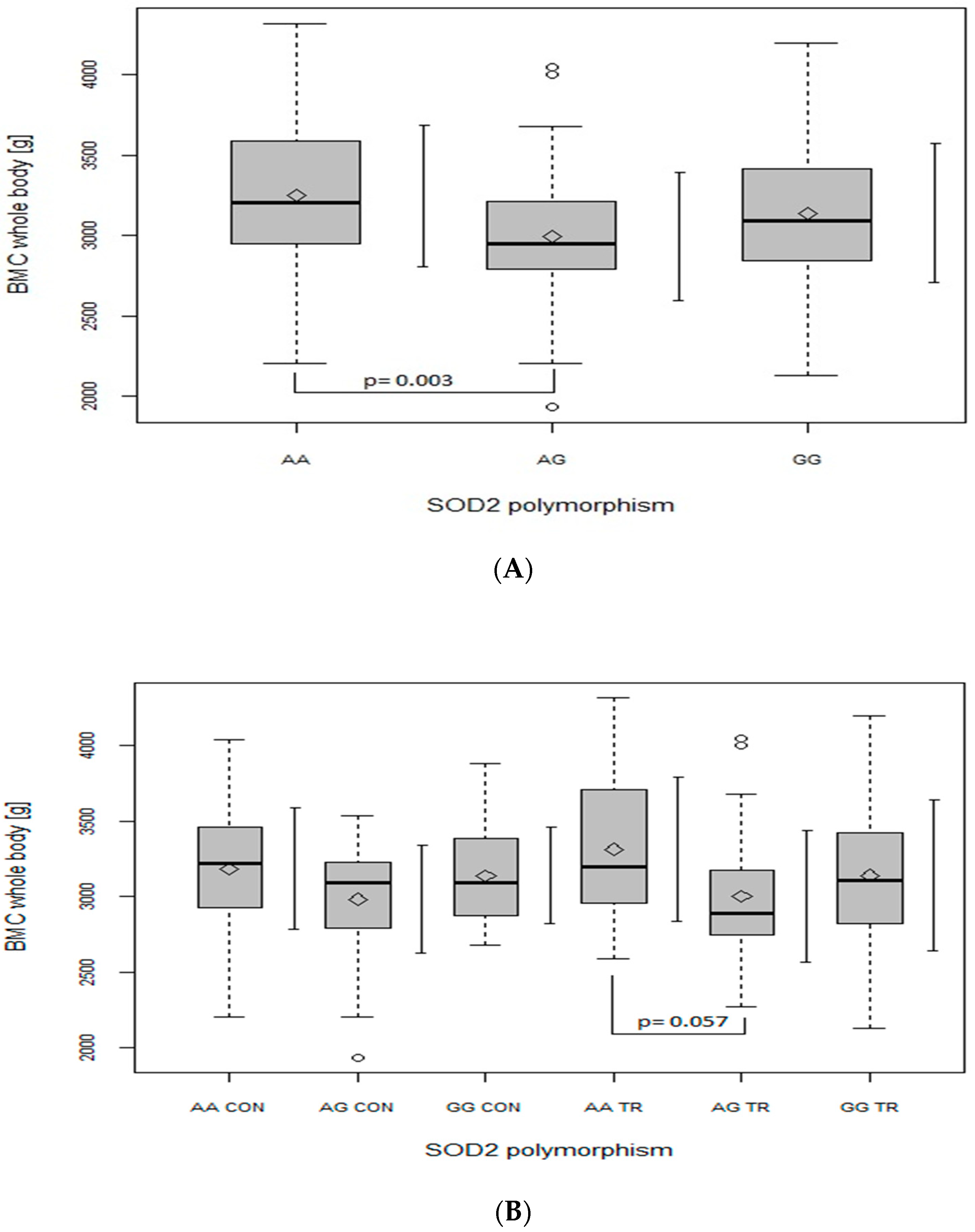 Ijms 24 03373 g004 Ijms 24 03373 g004