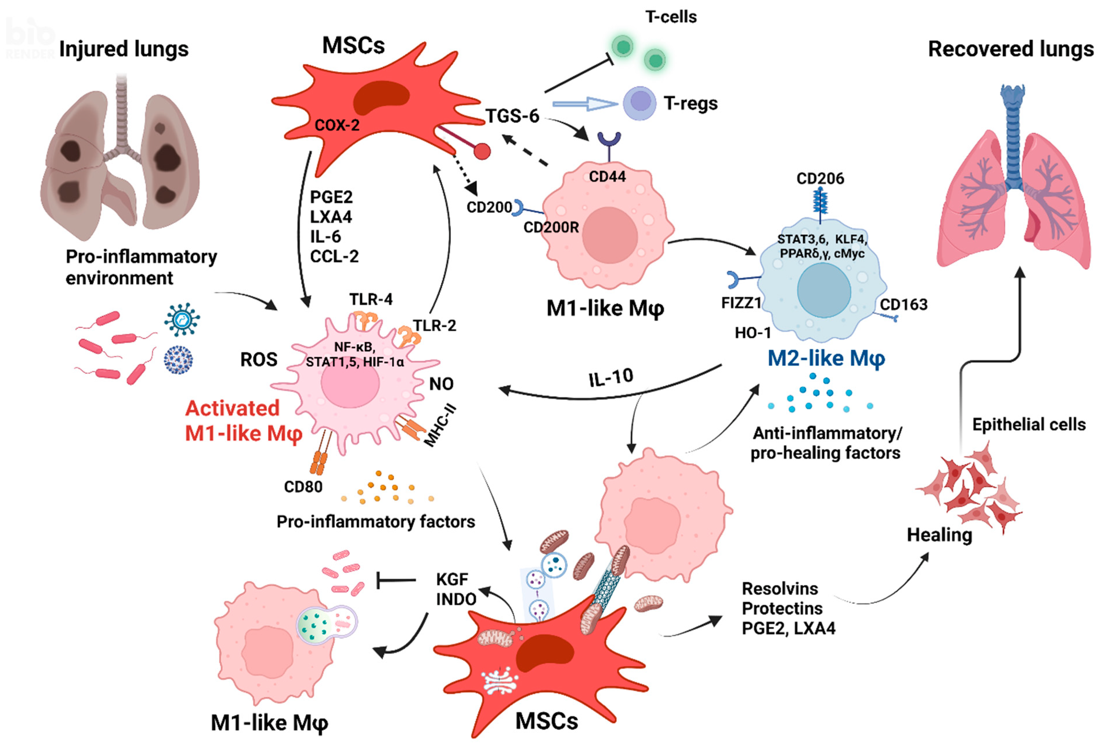 Ijms 24 03376 g002 Ijms 24 03376 g002