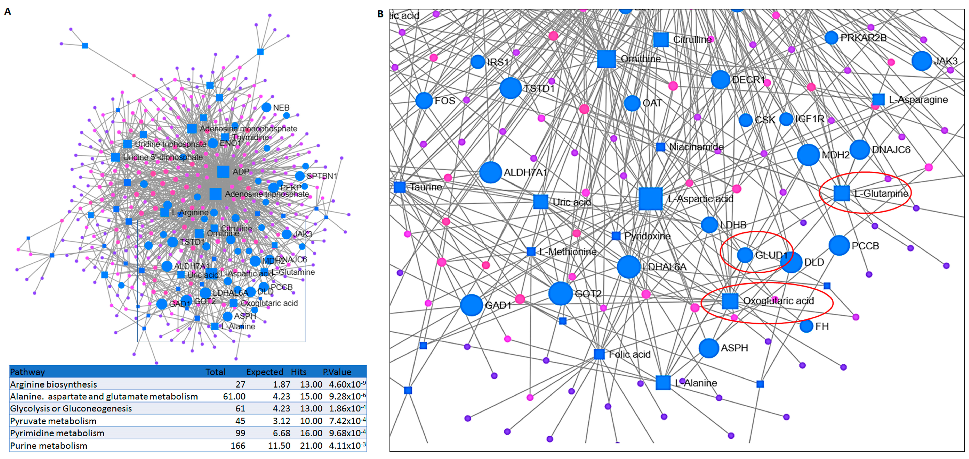 Ijms 24 03378 g002 Ijms 24 03378 g002
