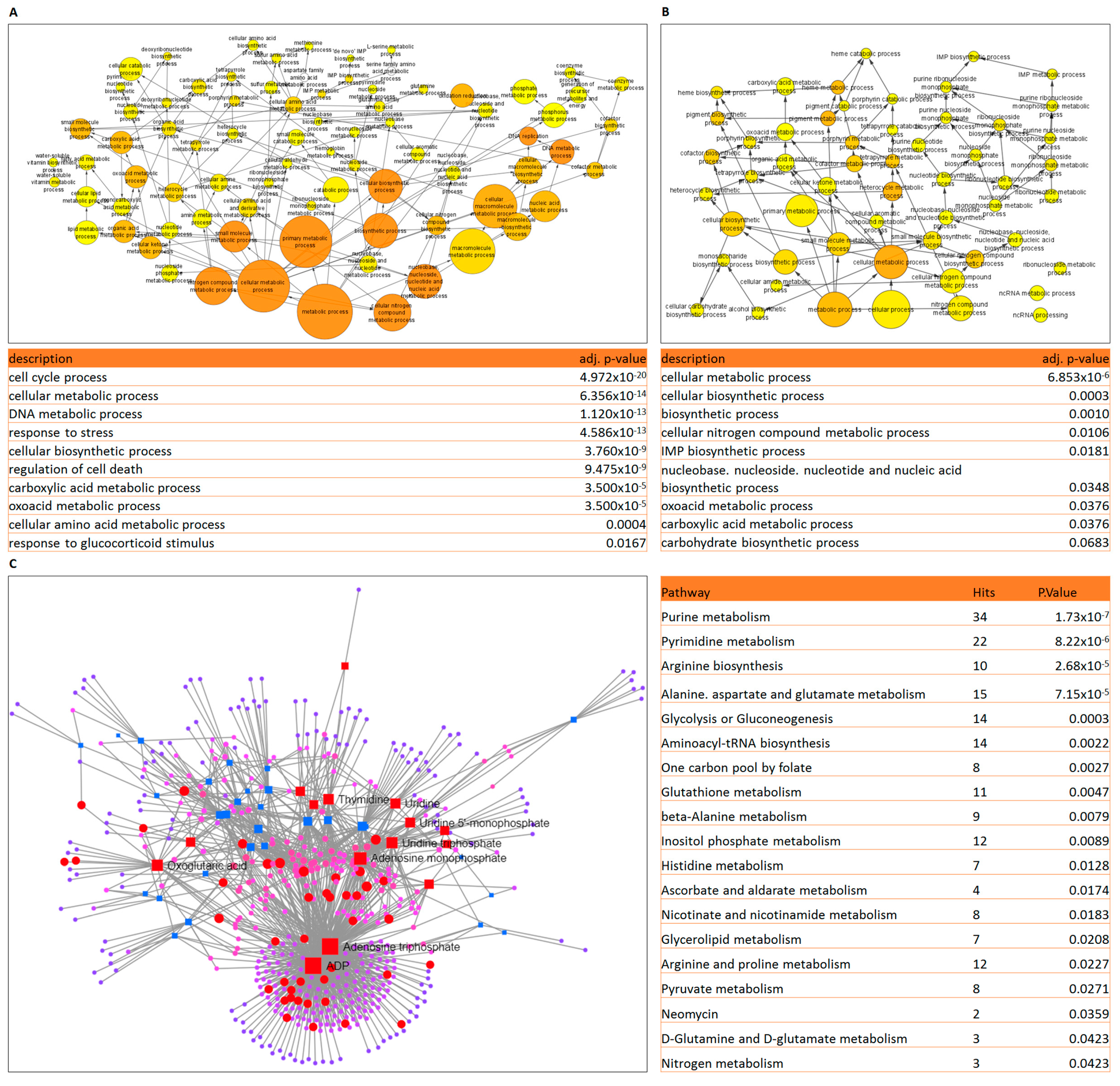 Ijms 24 03378 g005 Ijms 24 03378 g005