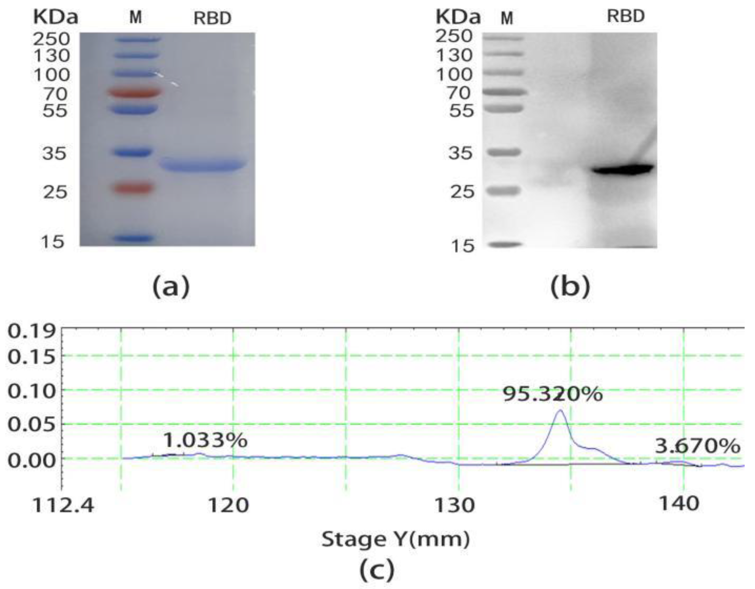 Ijms 24 03387 g002 Ijms 24 03387 g002