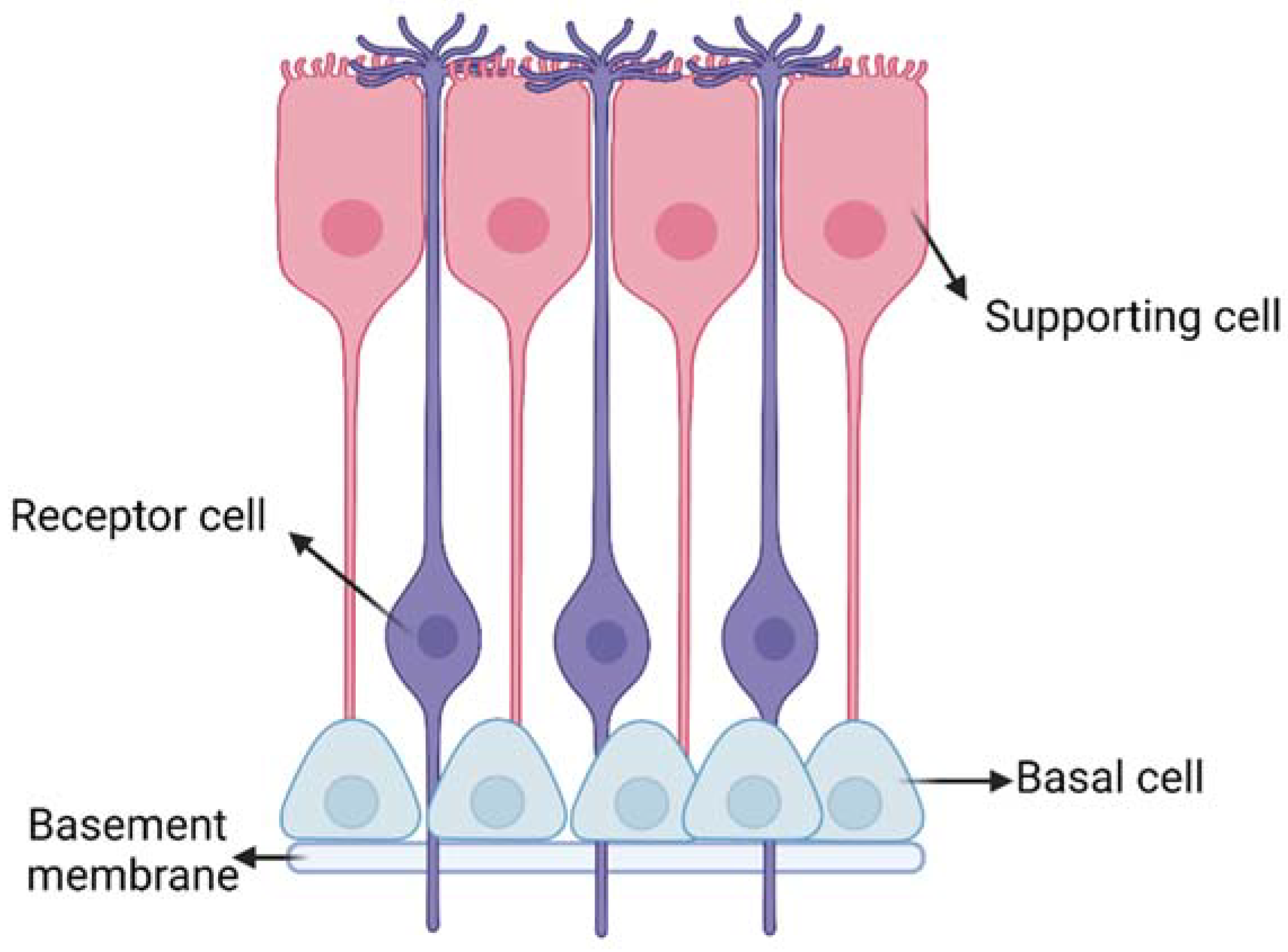 Ijms 24 03390 g003 Ijms 24 03390 g003