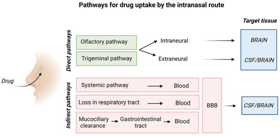 Ijms 24 03390 g005 550