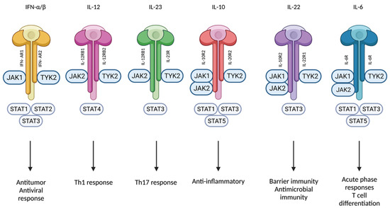 Tyk2 Targeting in Immune-Mediated Inflammatory Diseases