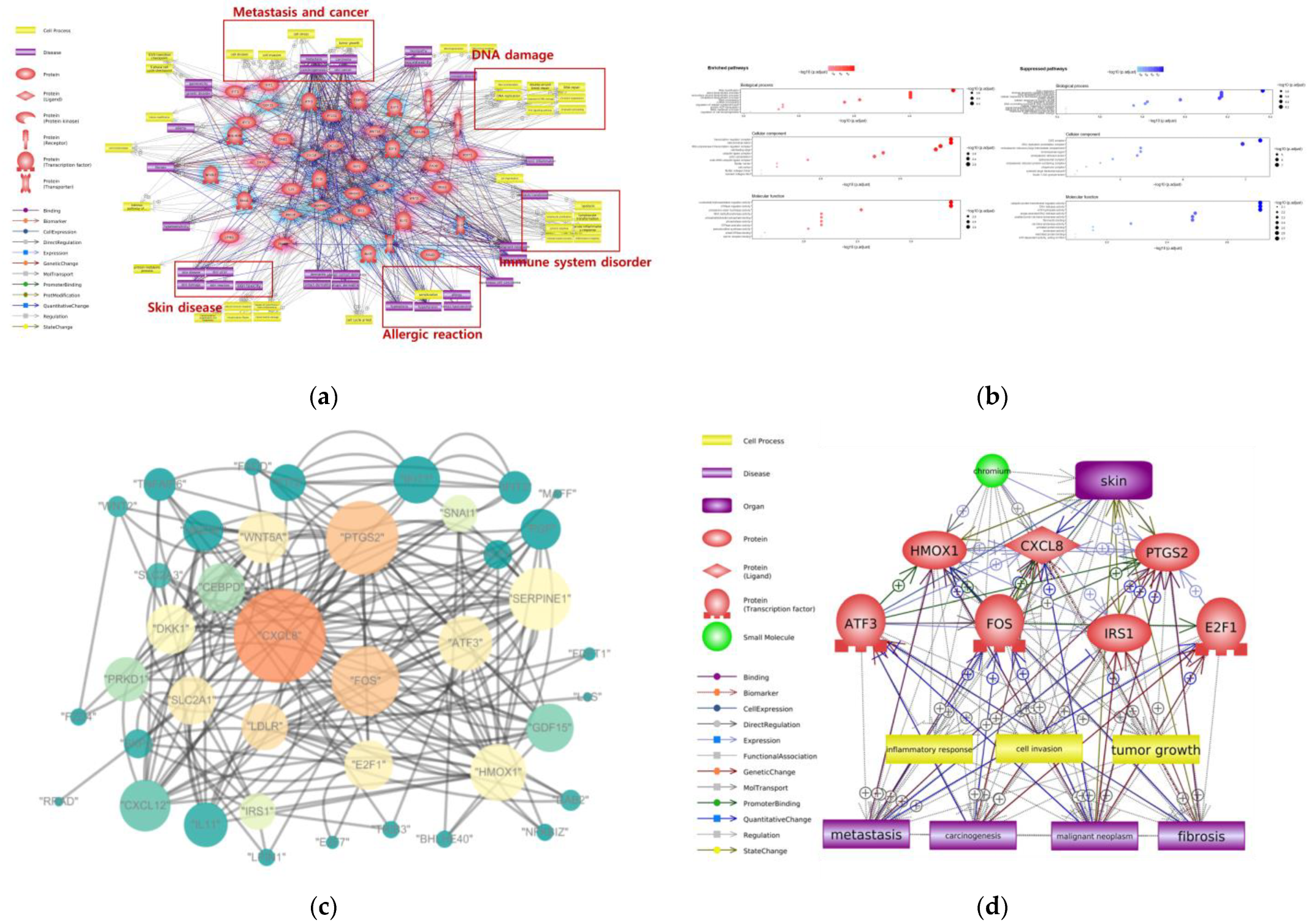 Ijms 24 03410 g002 550