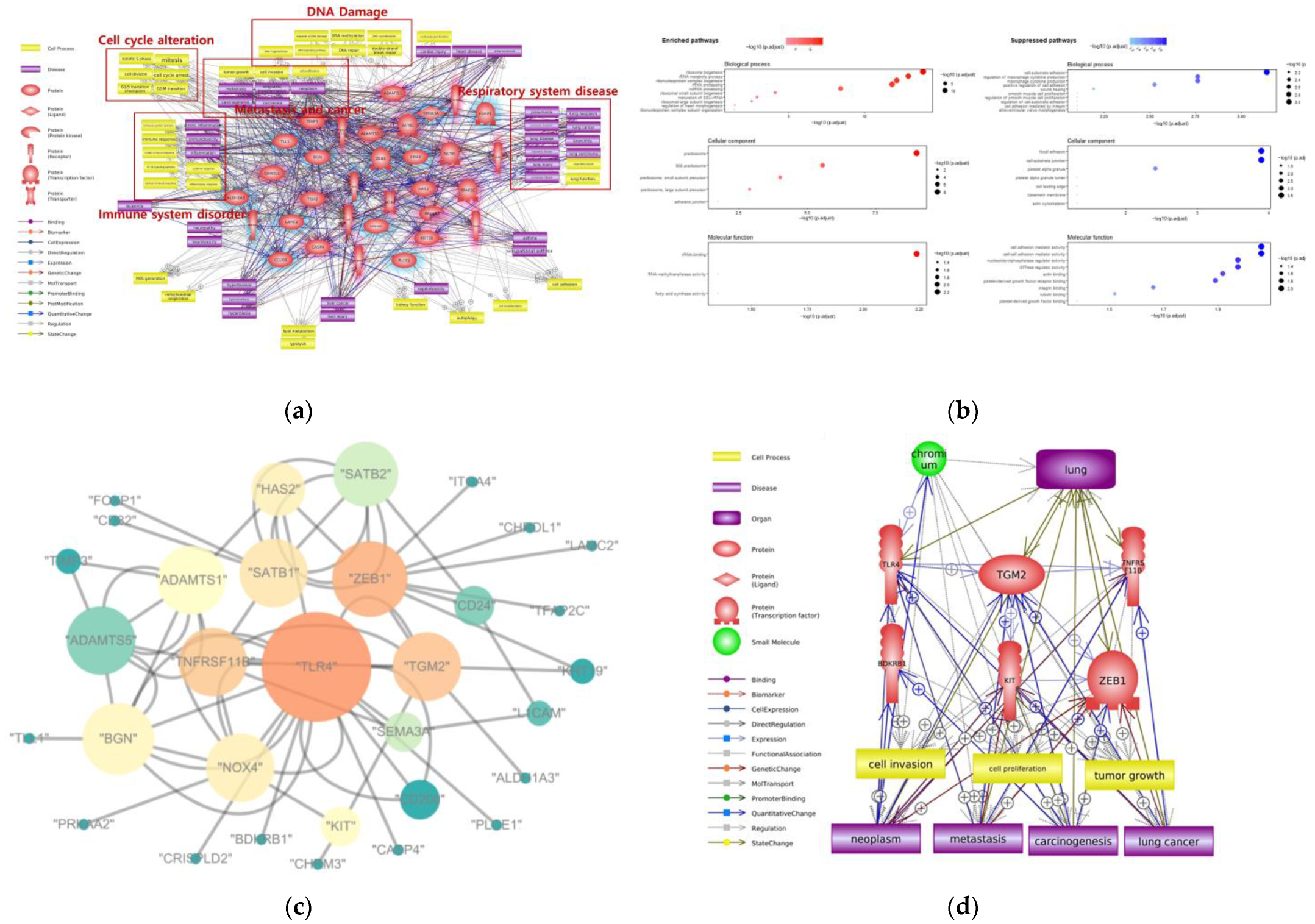 Ijms 24 03410 g003 550