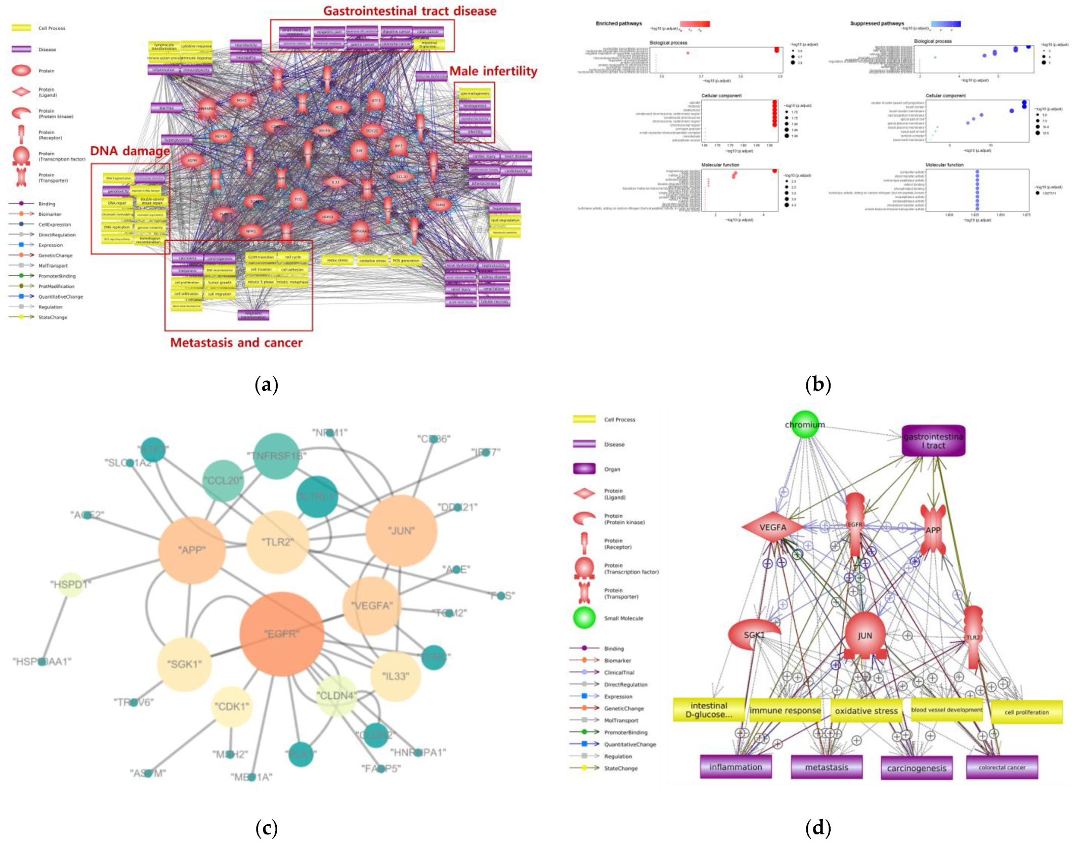 Ijms 24 03410 g004 550