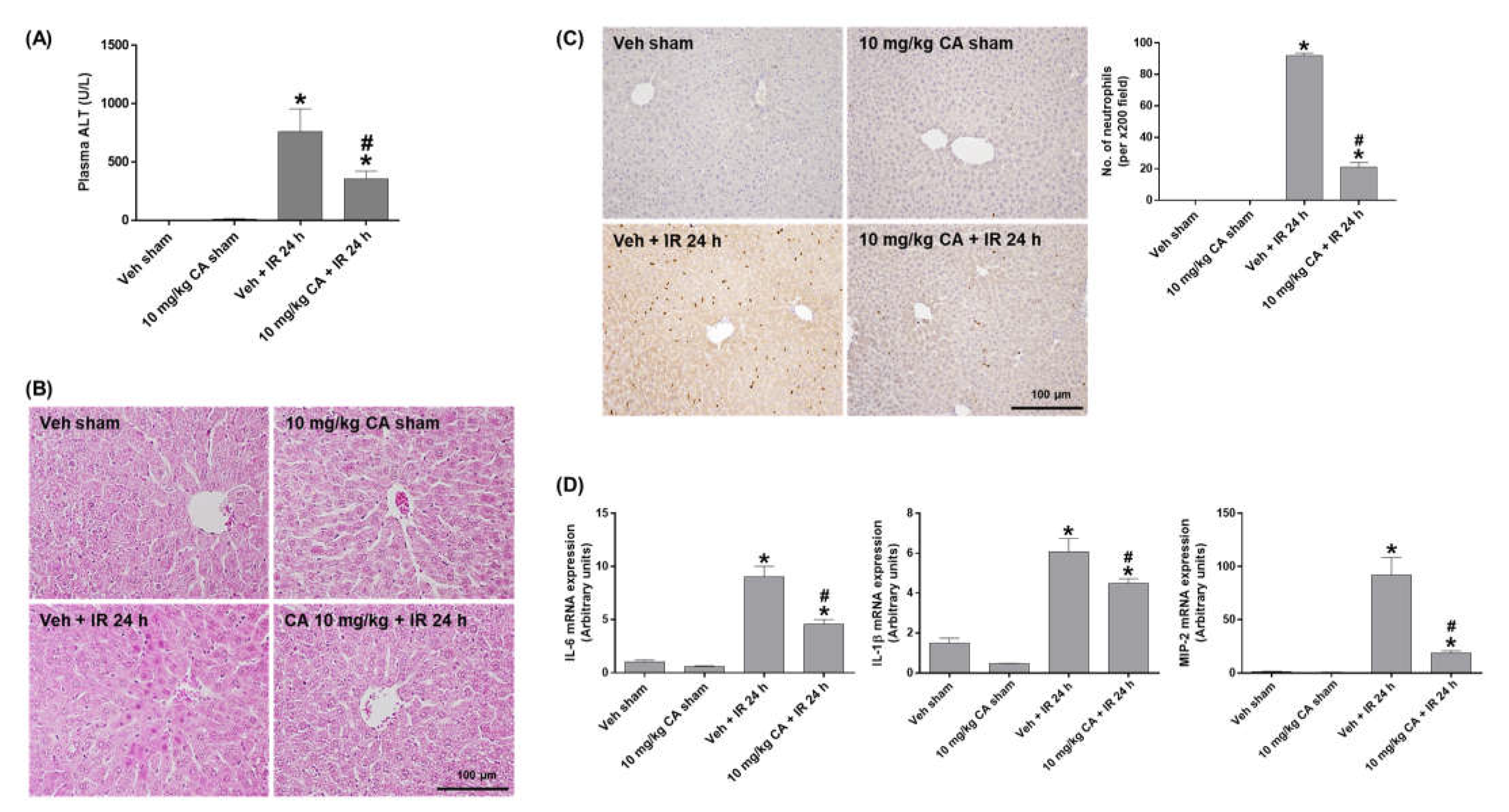 Ijms 24 03413 g003 550