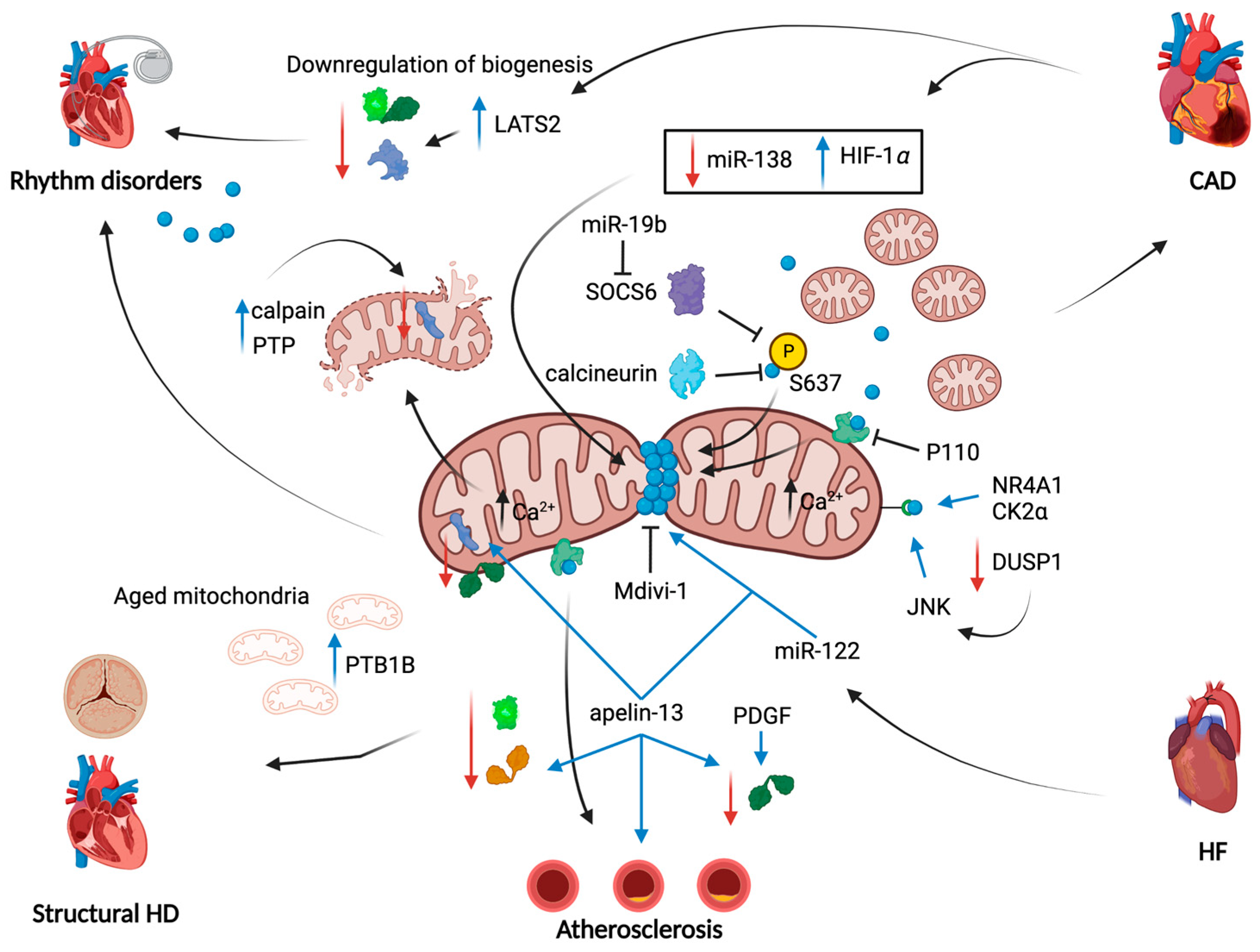 Ijms 24 03414 g002 Ijms 24 03414 g002