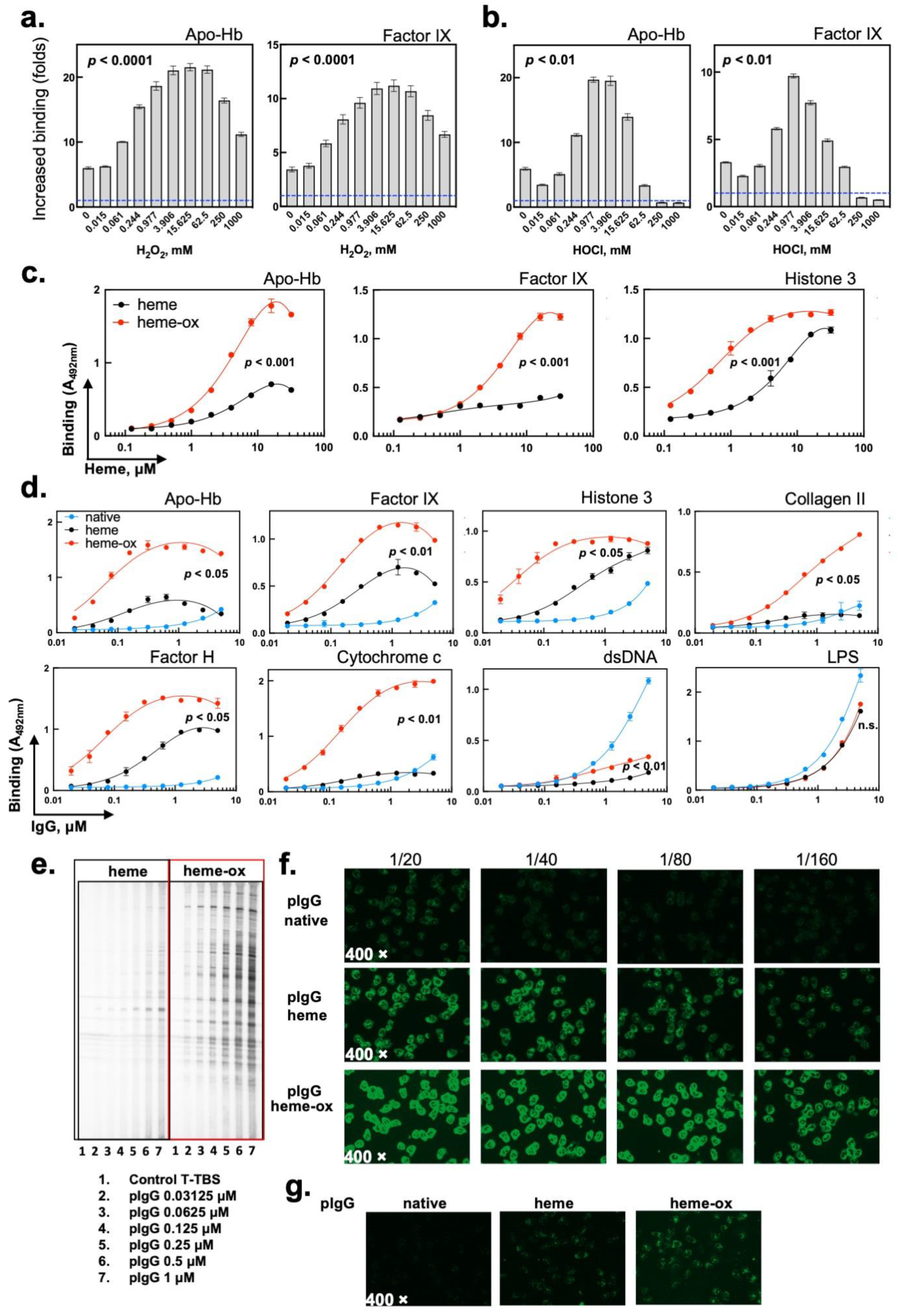 Ijms 24 03416 g001 Ijms 24 03416 g001