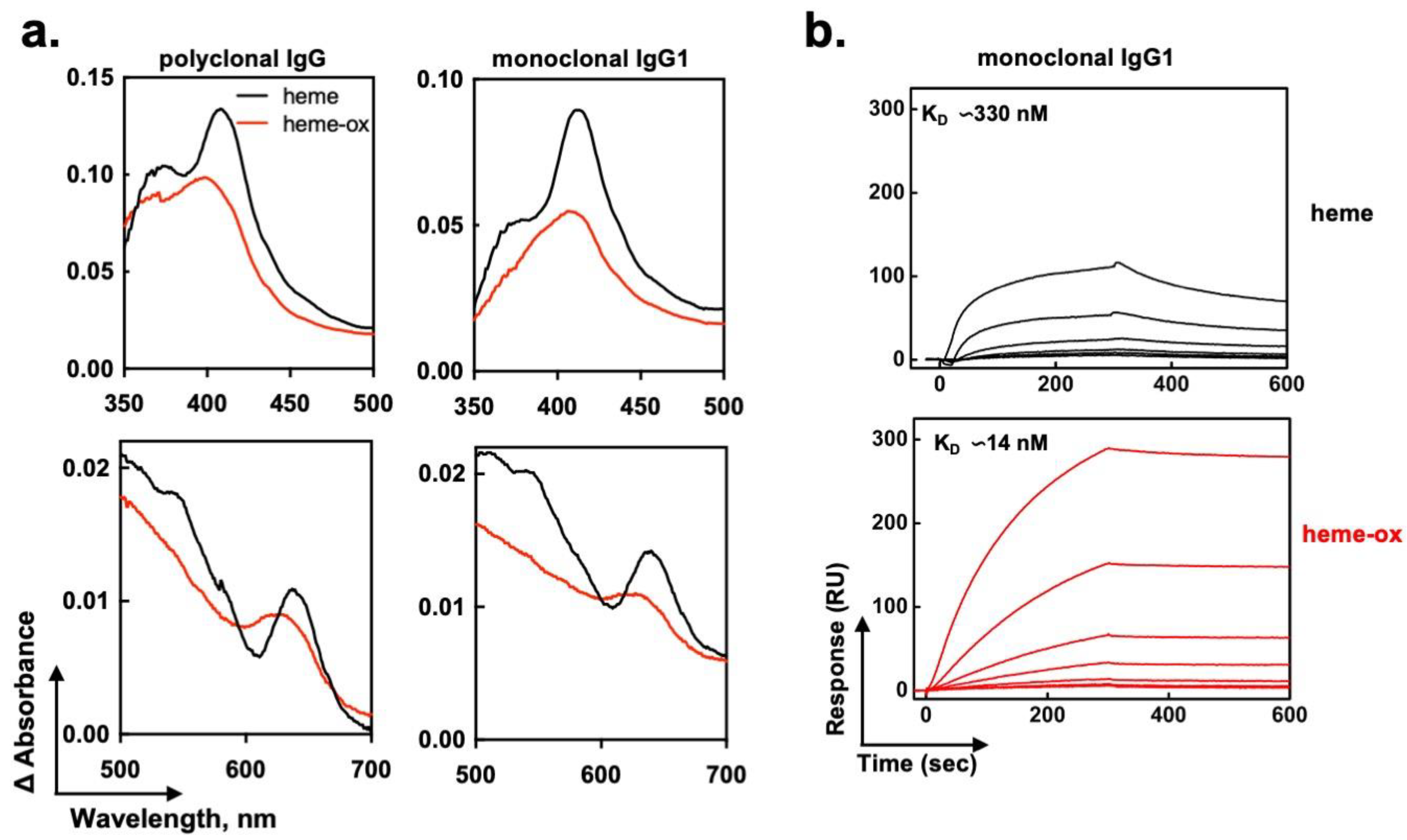 Ijms 24 03416 g004 Ijms 24 03416 g004