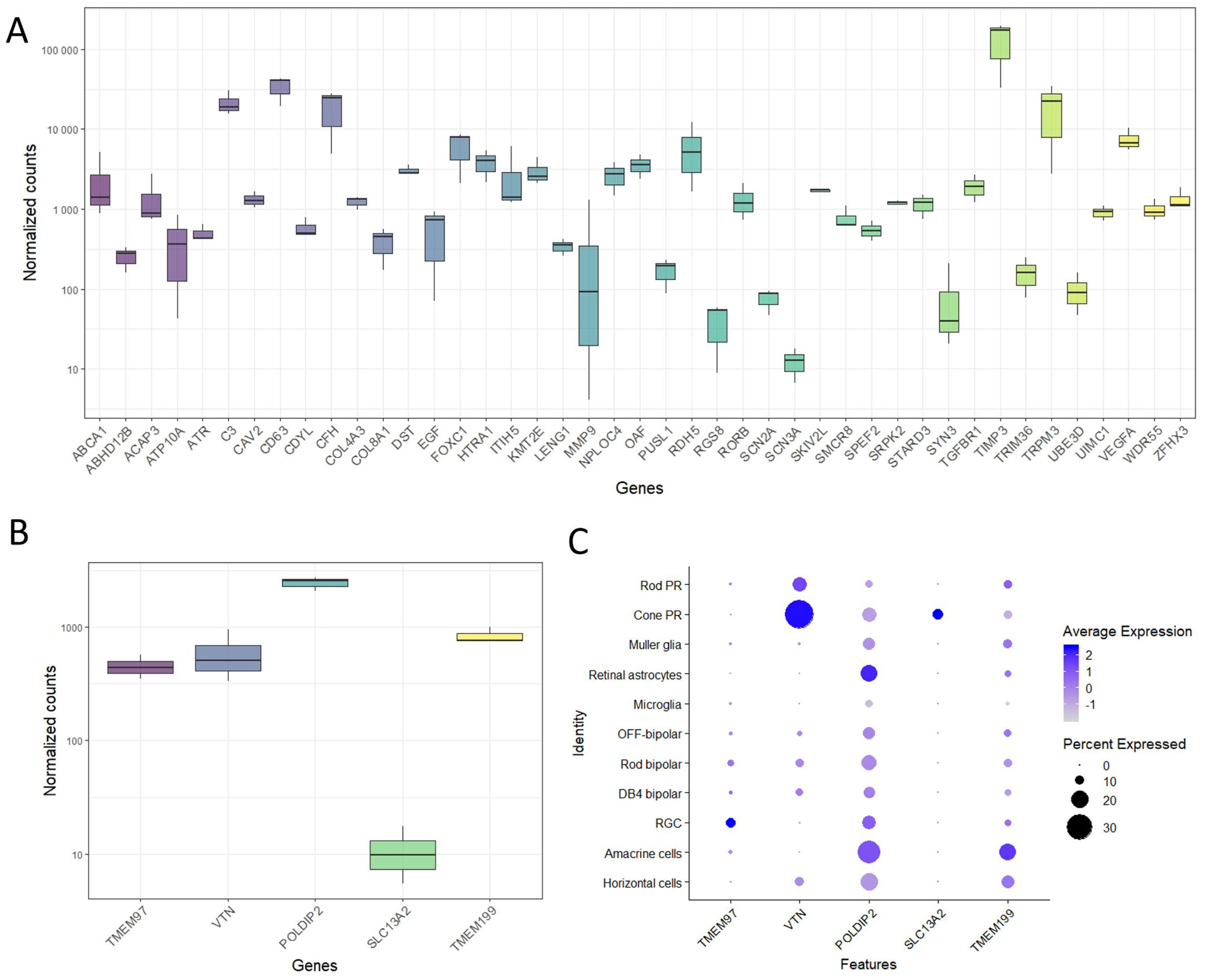 Ijms 24 03417 g002 Ijms 24 03417 g002