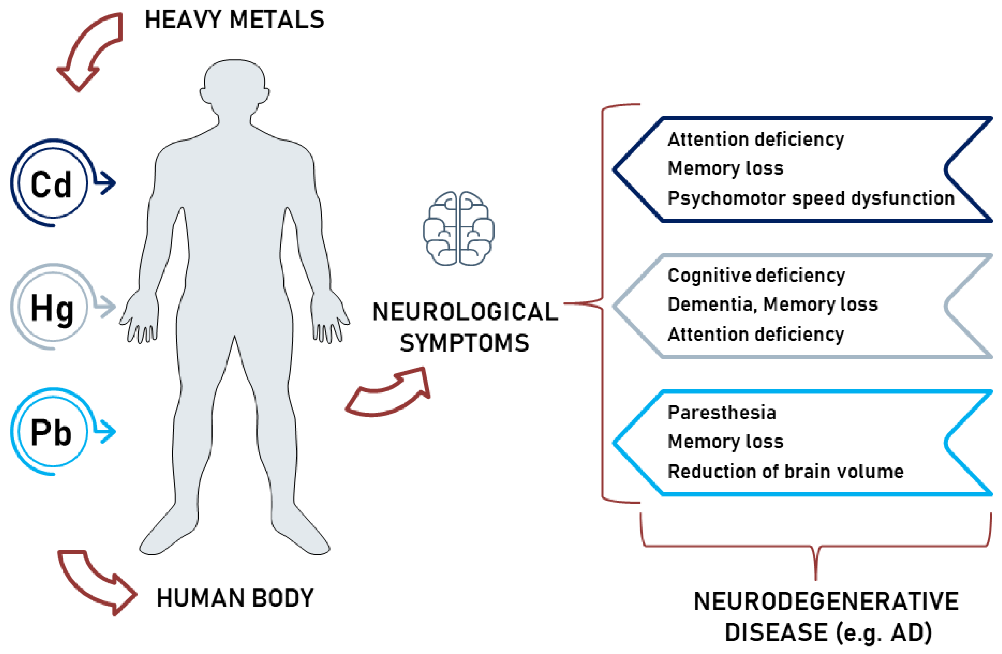 Ijms 24 03428 g003 Ijms 24 03428 g003
