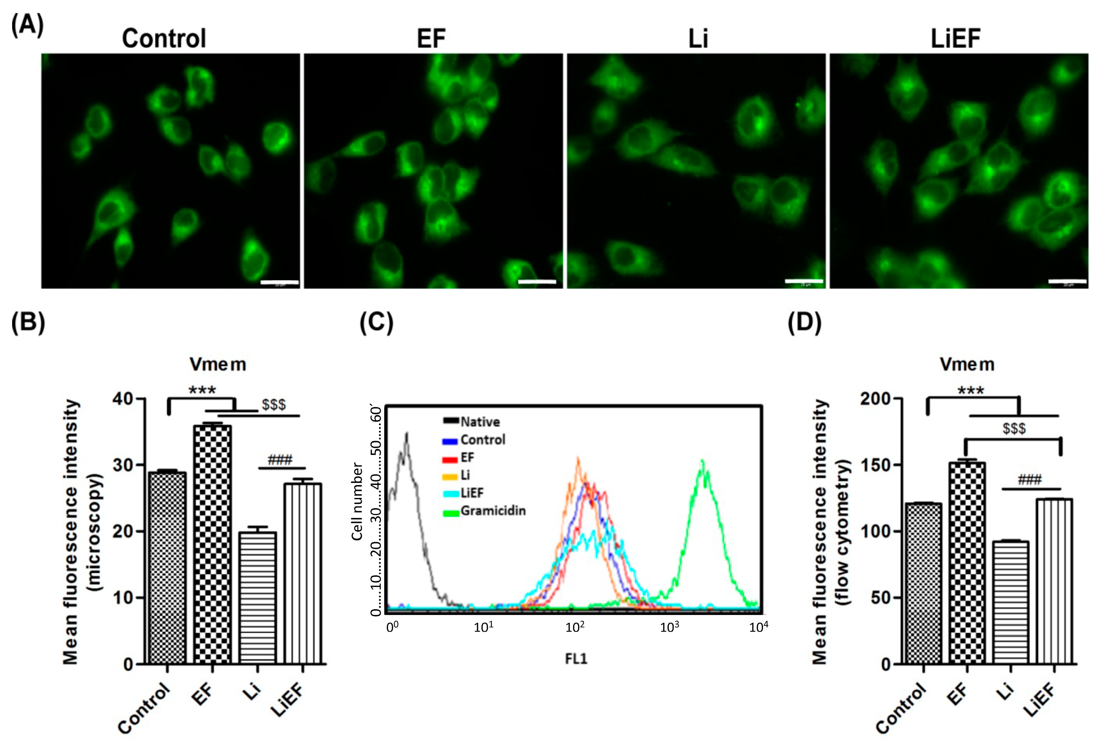 Ijms 24 03433 g002 Ijms 24 03433 g002