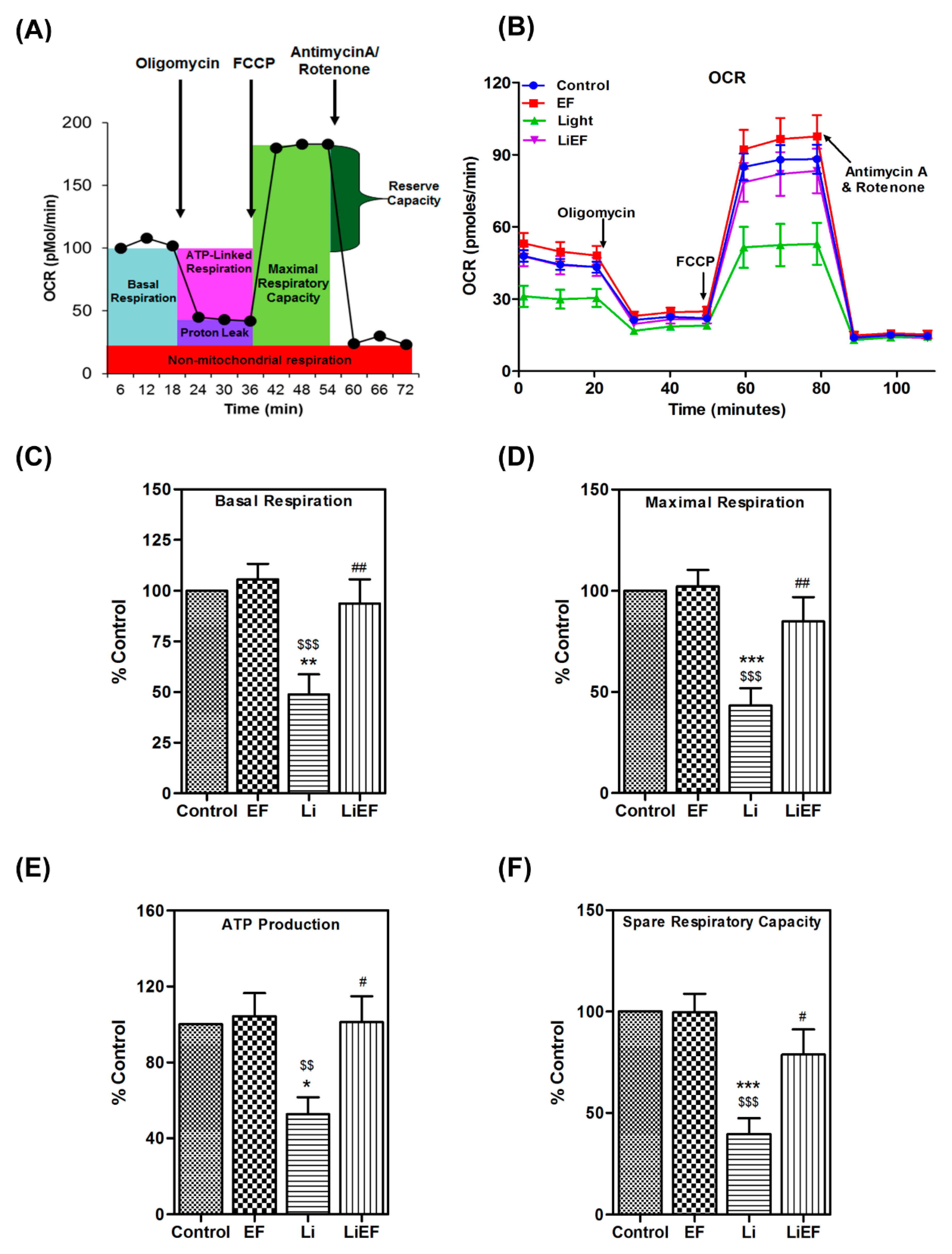 Ijms 24 03433 g004 Ijms 24 03433 g004