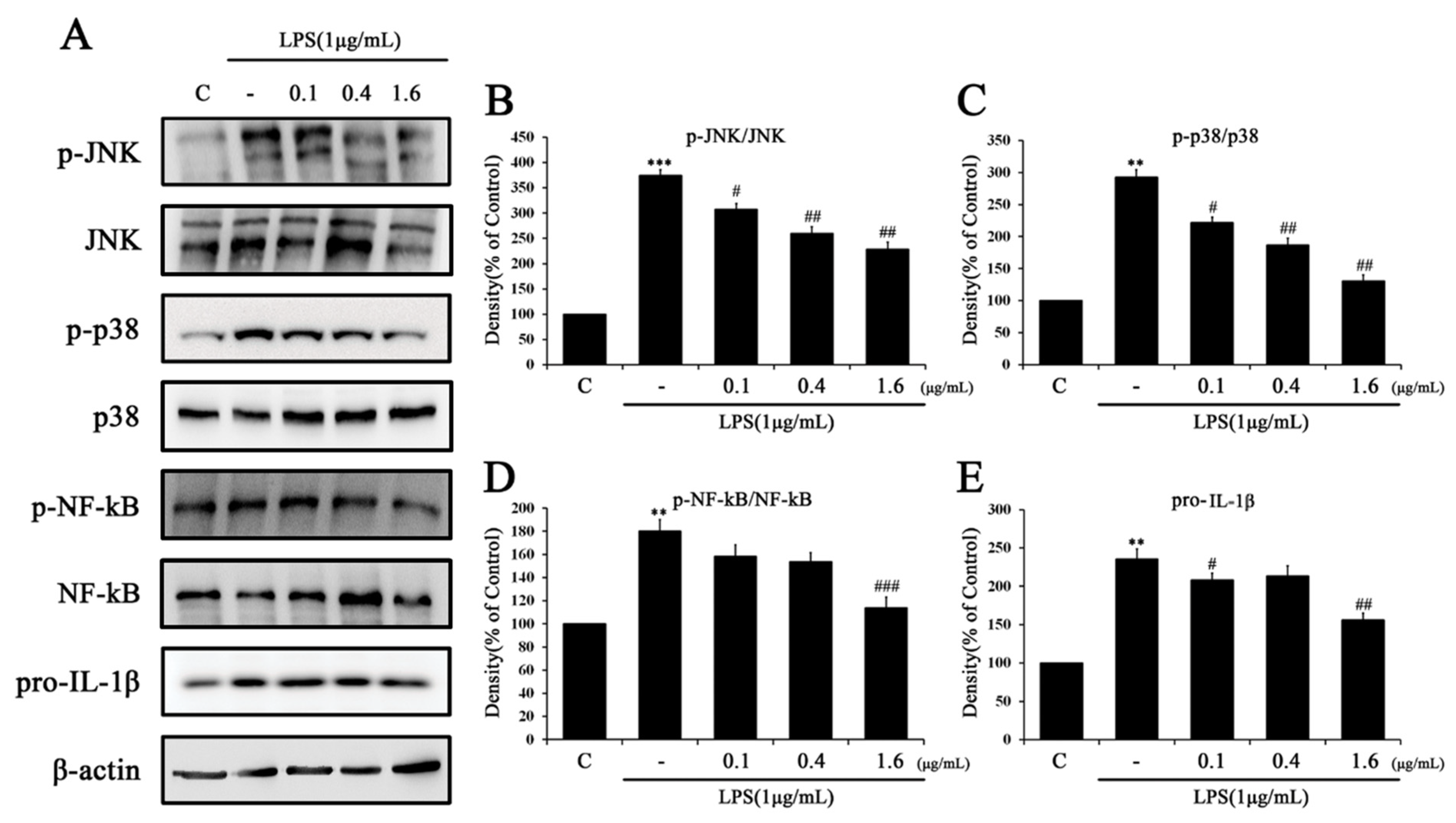 Ijms 24 03439 g004 Ijms 24 03439 g004