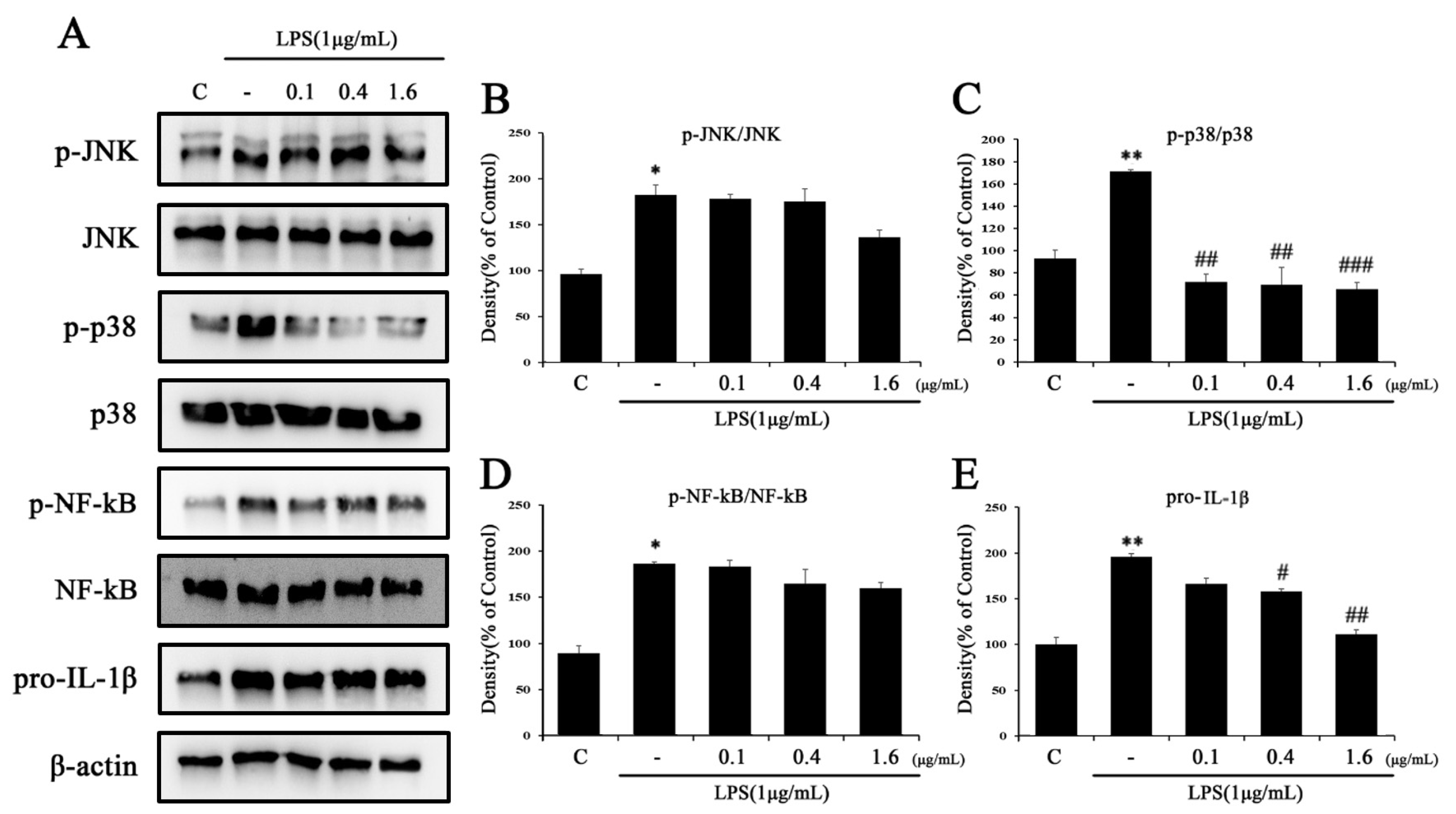 Ijms 24 03439 g005 Ijms 24 03439 g005
