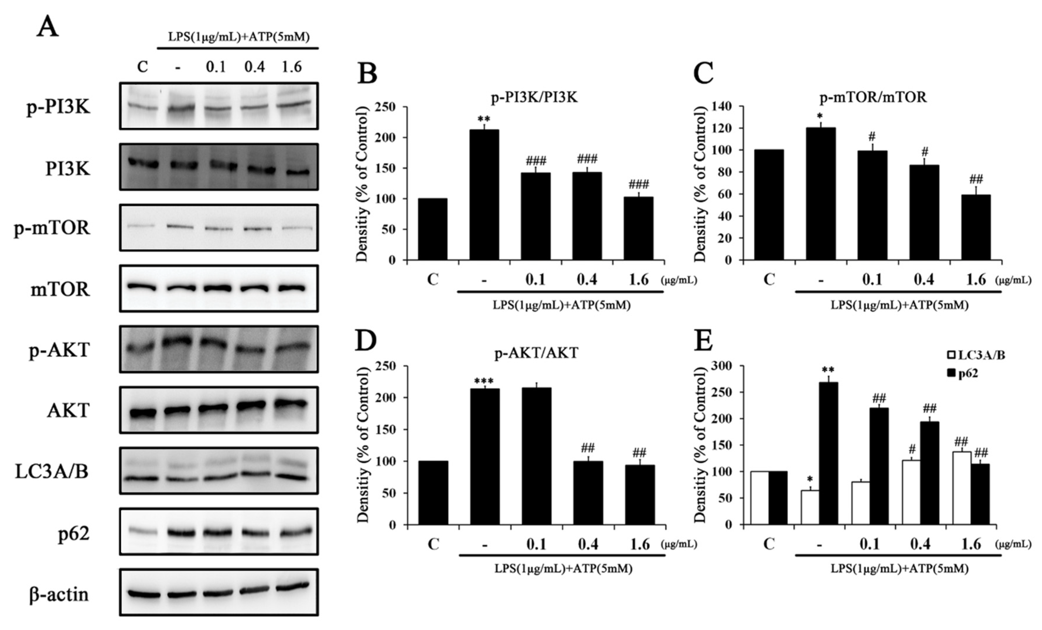 Ijms 24 03439 g006 Ijms 24 03439 g006