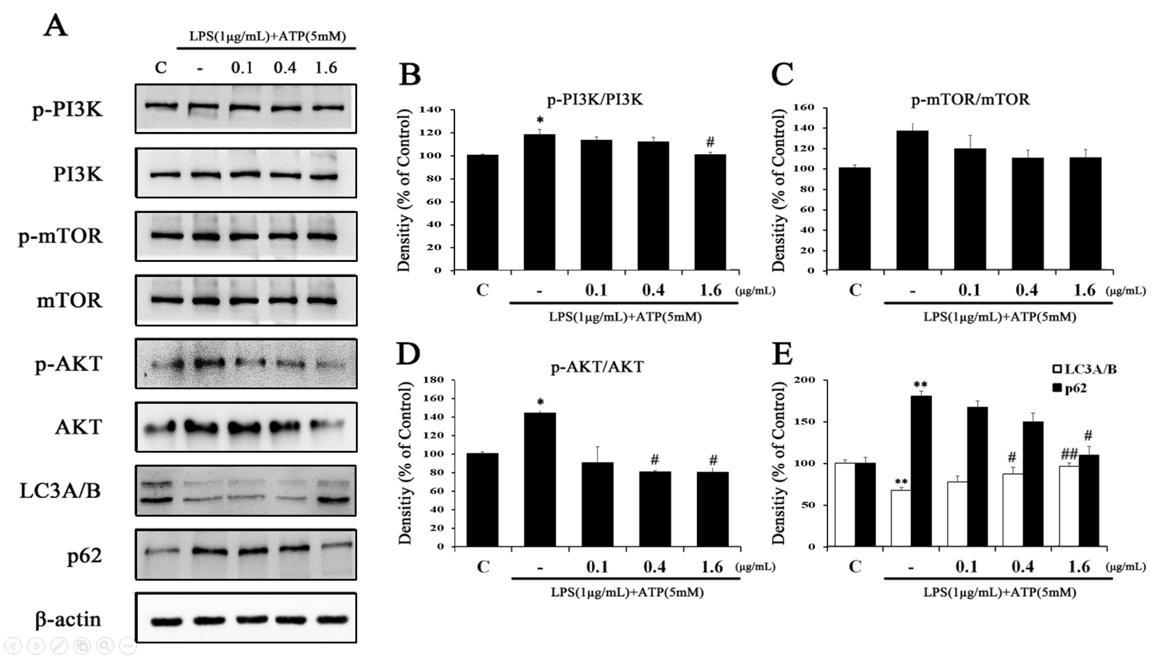 Ijms 24 03439 g007 Ijms 24 03439 g007