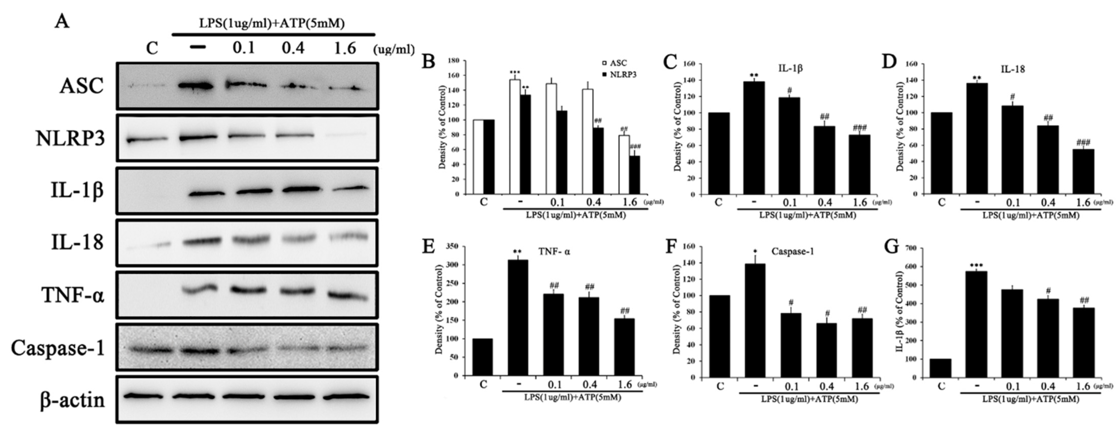 Ijms 24 03439 g008 Ijms 24 03439 g008