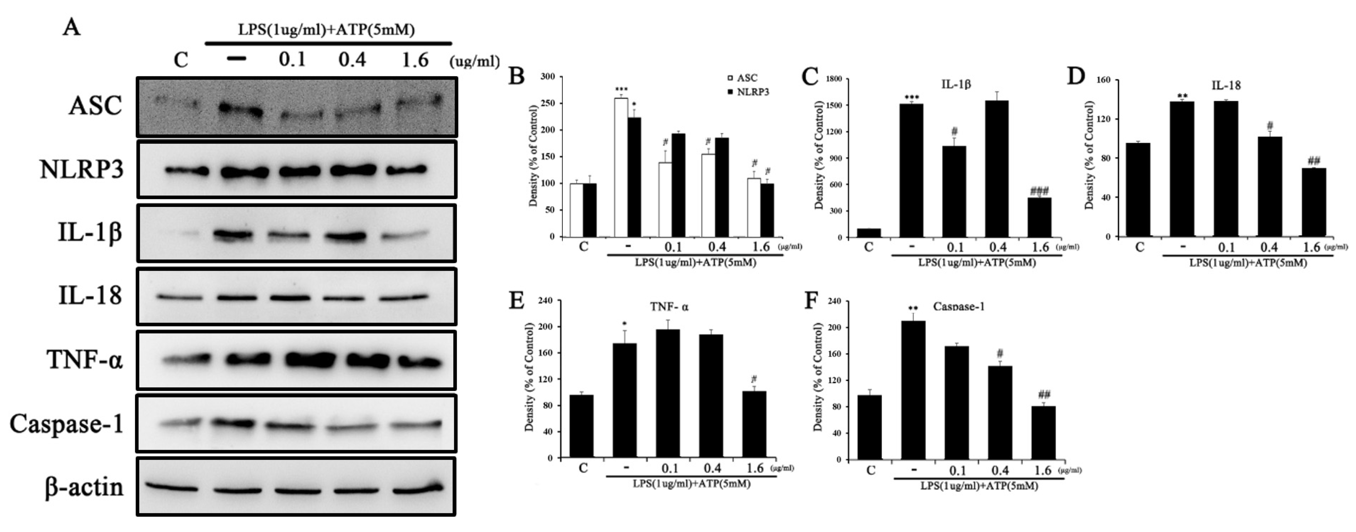 Ijms 24 03439 g009 Ijms 24 03439 g009